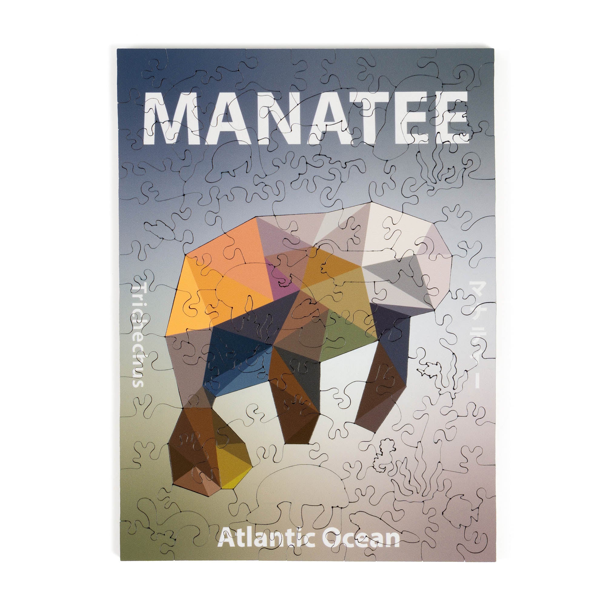 World Ocean Animals-Manatee