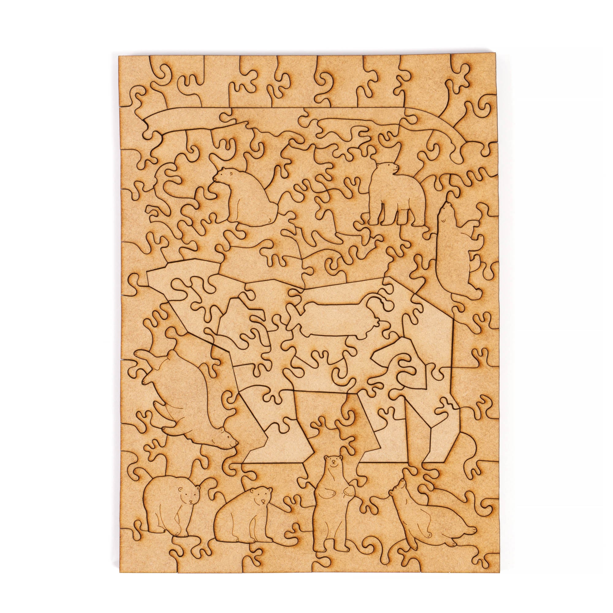 World Ocean Animals-Polar Bear