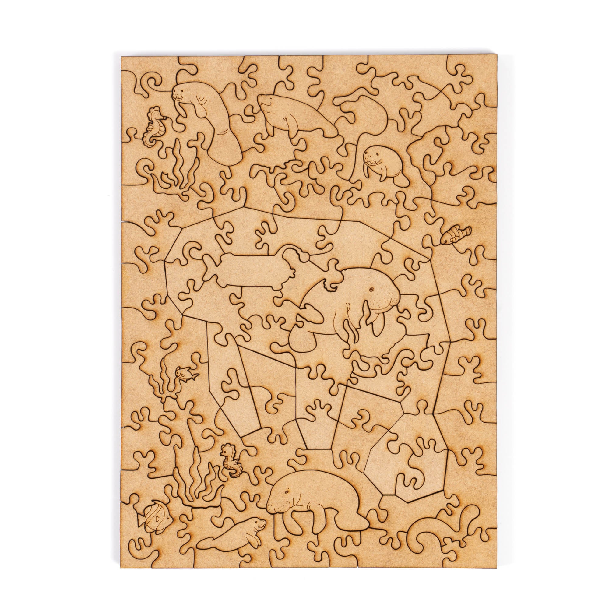 World Ocean Animals-Manatee