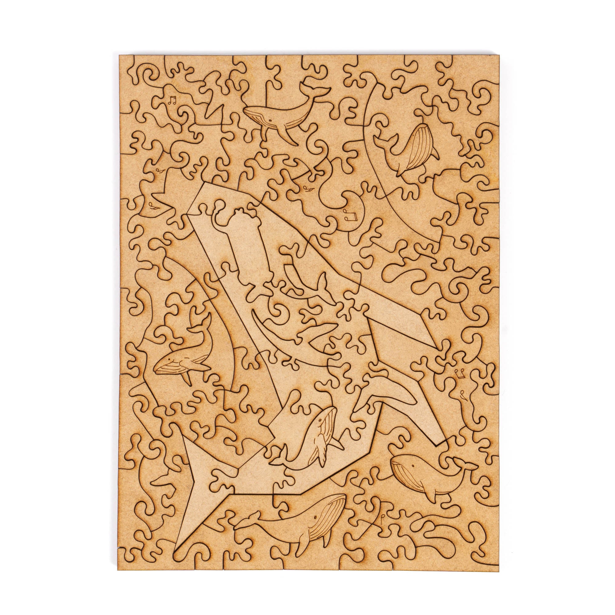 World Ocean Animals-Humpback Whale