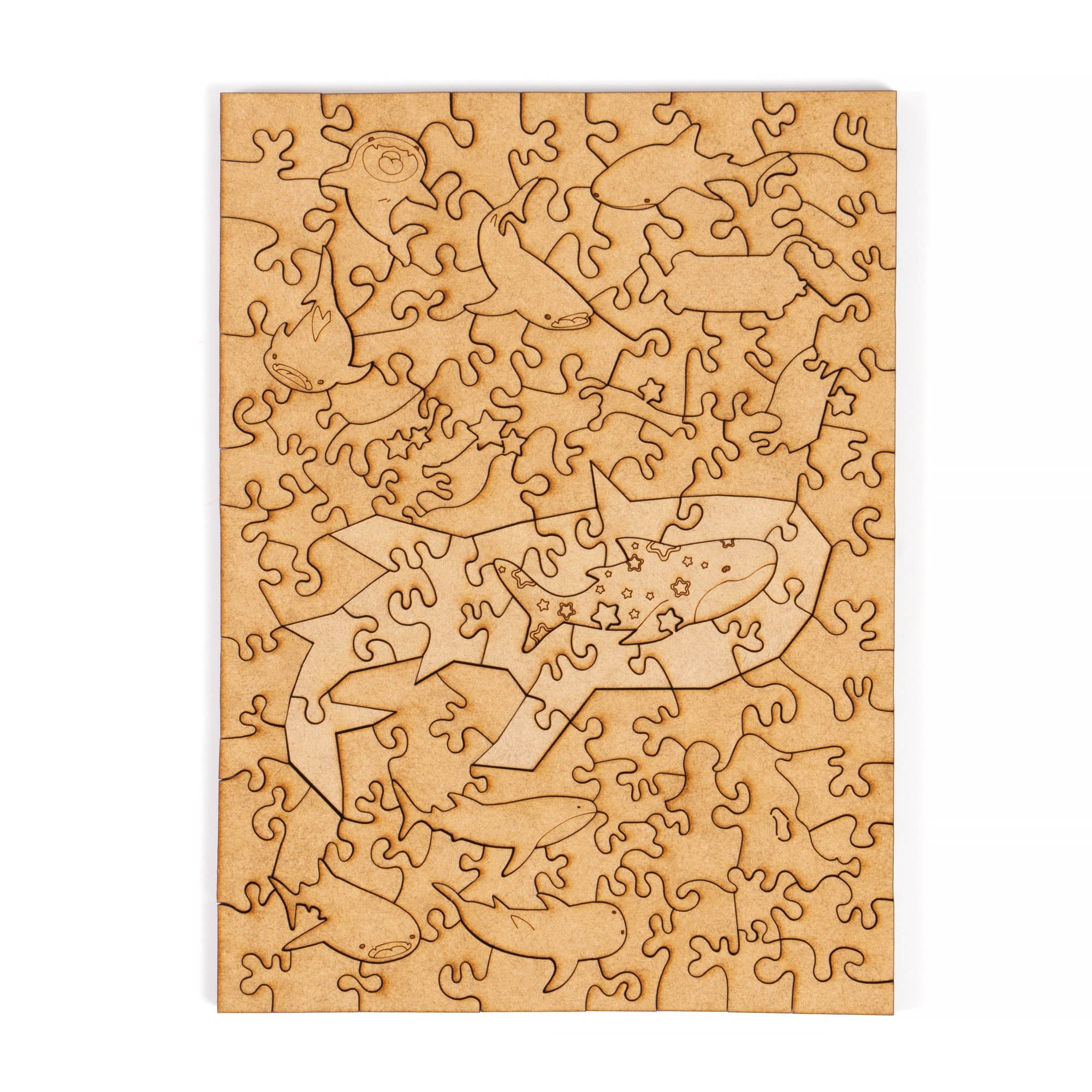 World Ocean Animals-Humpback Whale