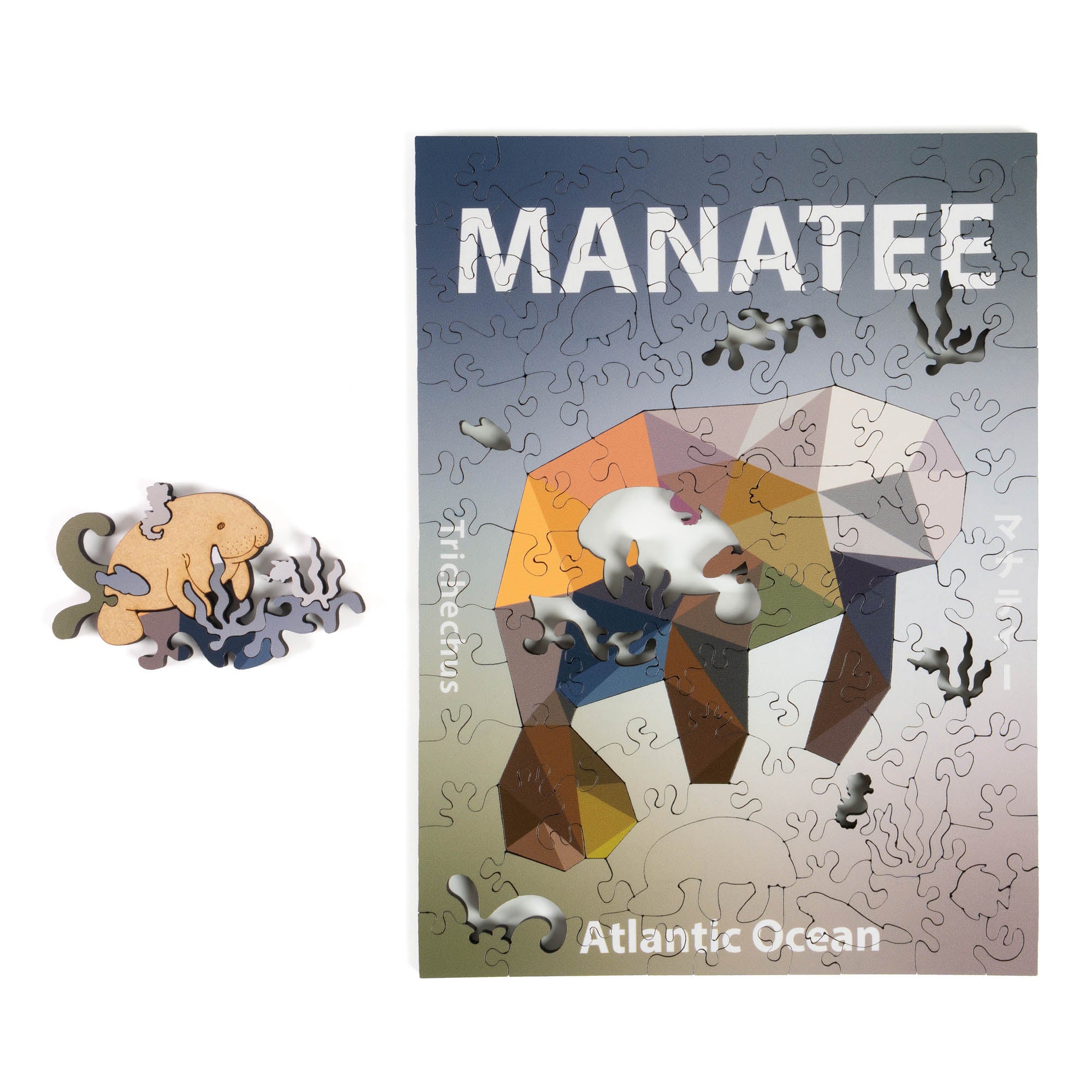 World Ocean Animals-Manatee