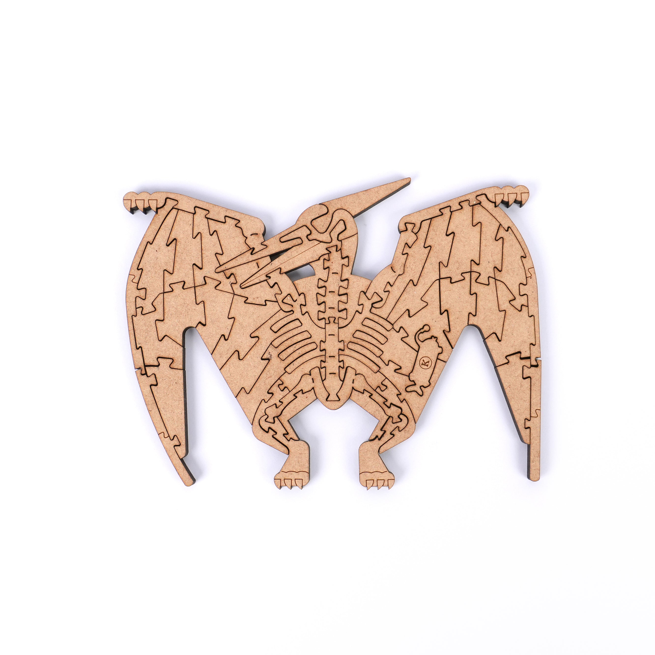 The Cretaceous - Pterosauria