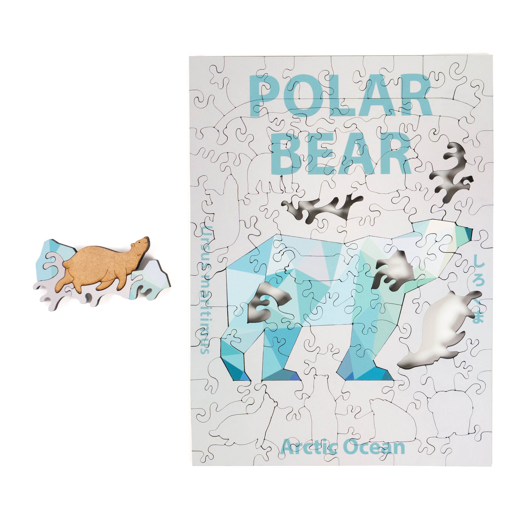 World Ocean Animals-Polar Bear