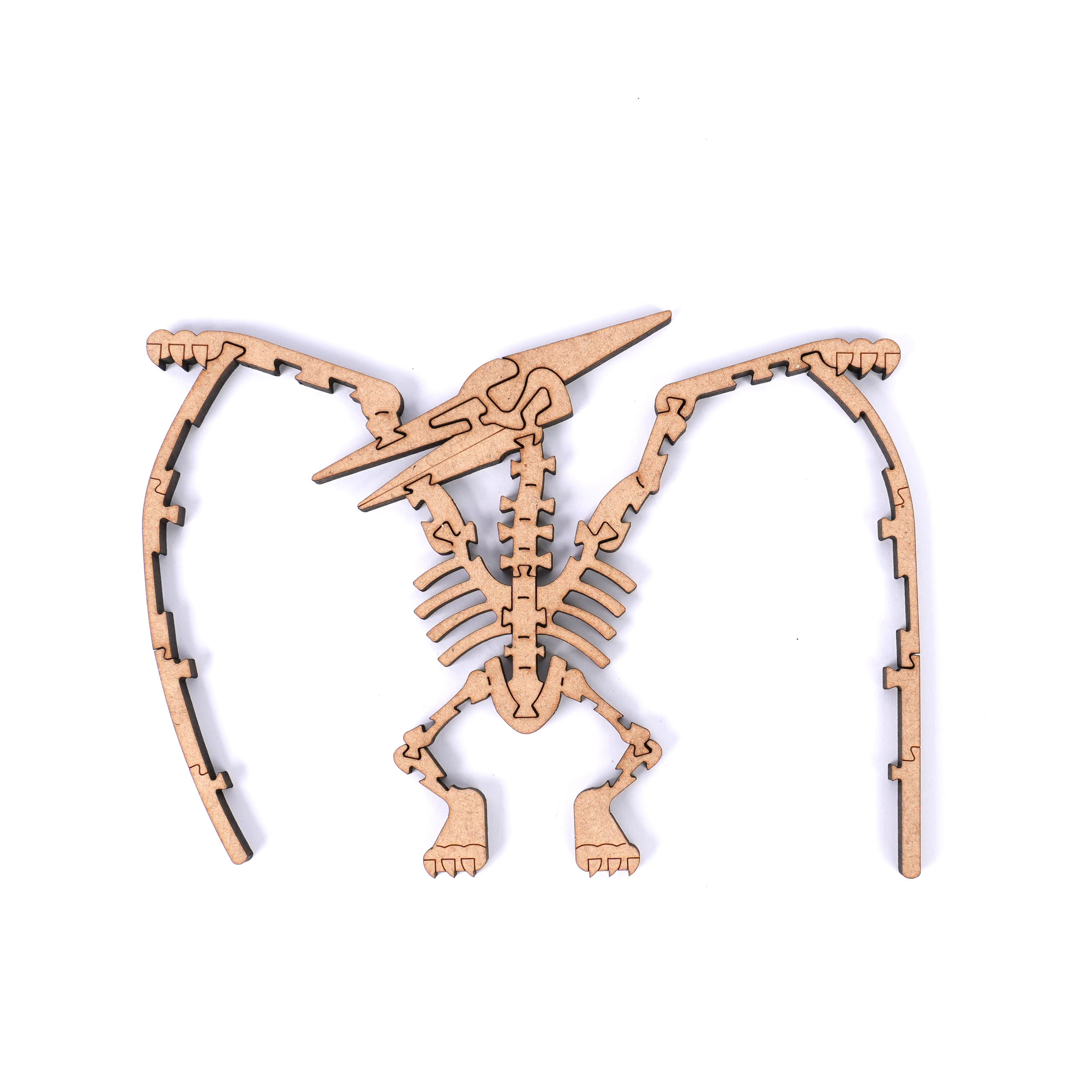 The Cretaceous - Pterosauria