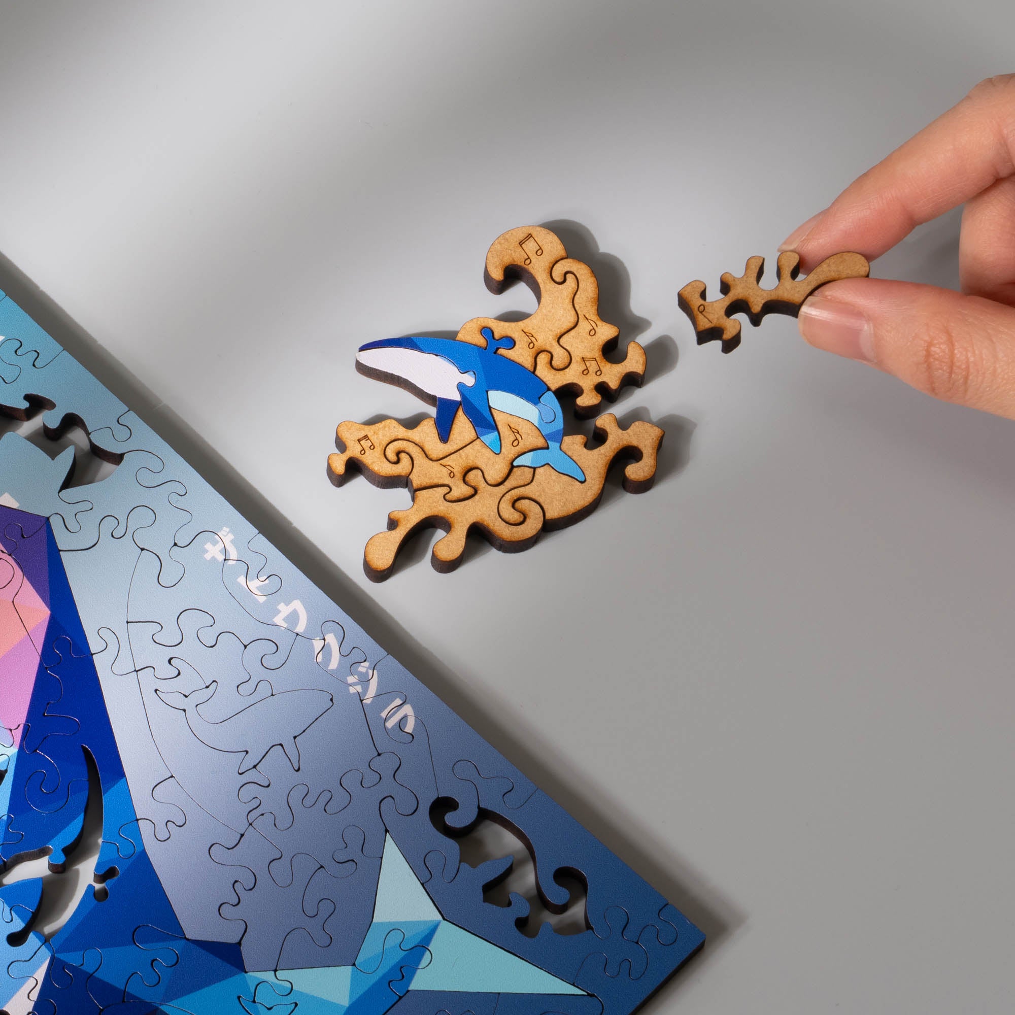 World Ocean Animals-Humpback Whale