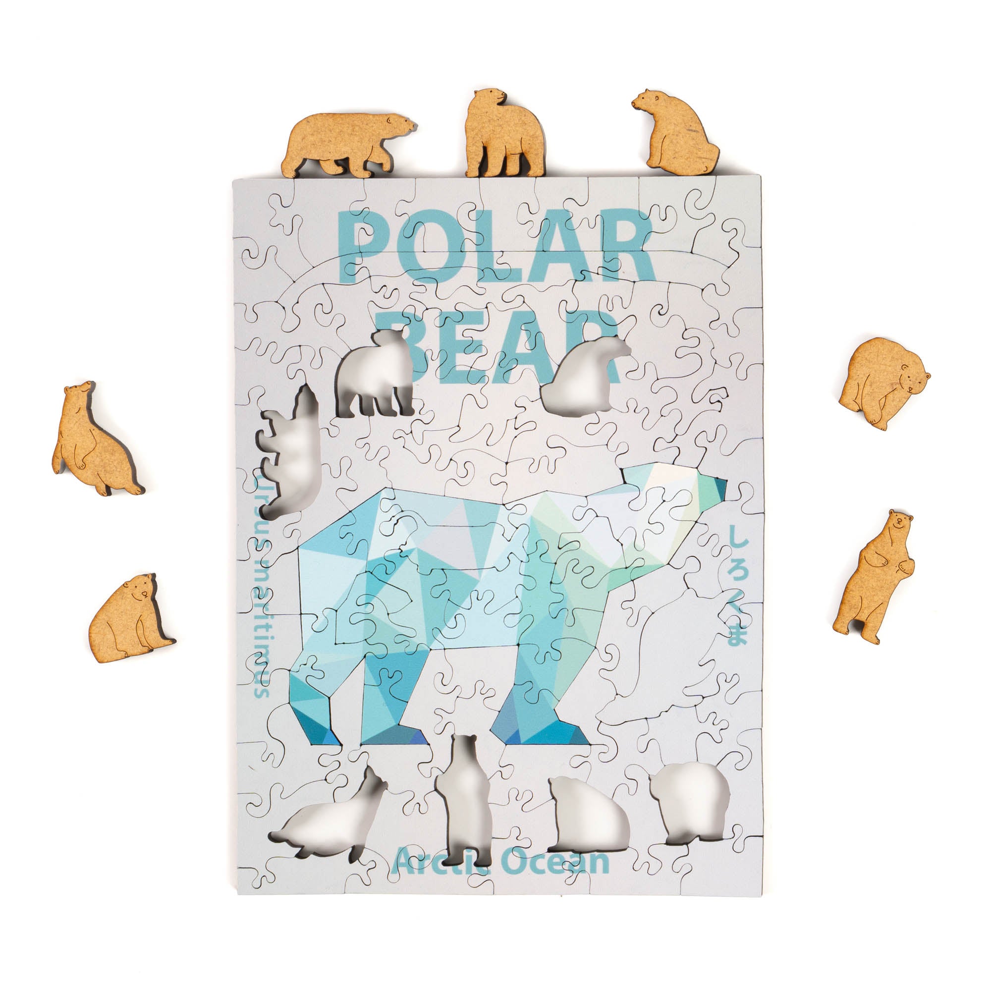 World Ocean Animals-Polar Bear