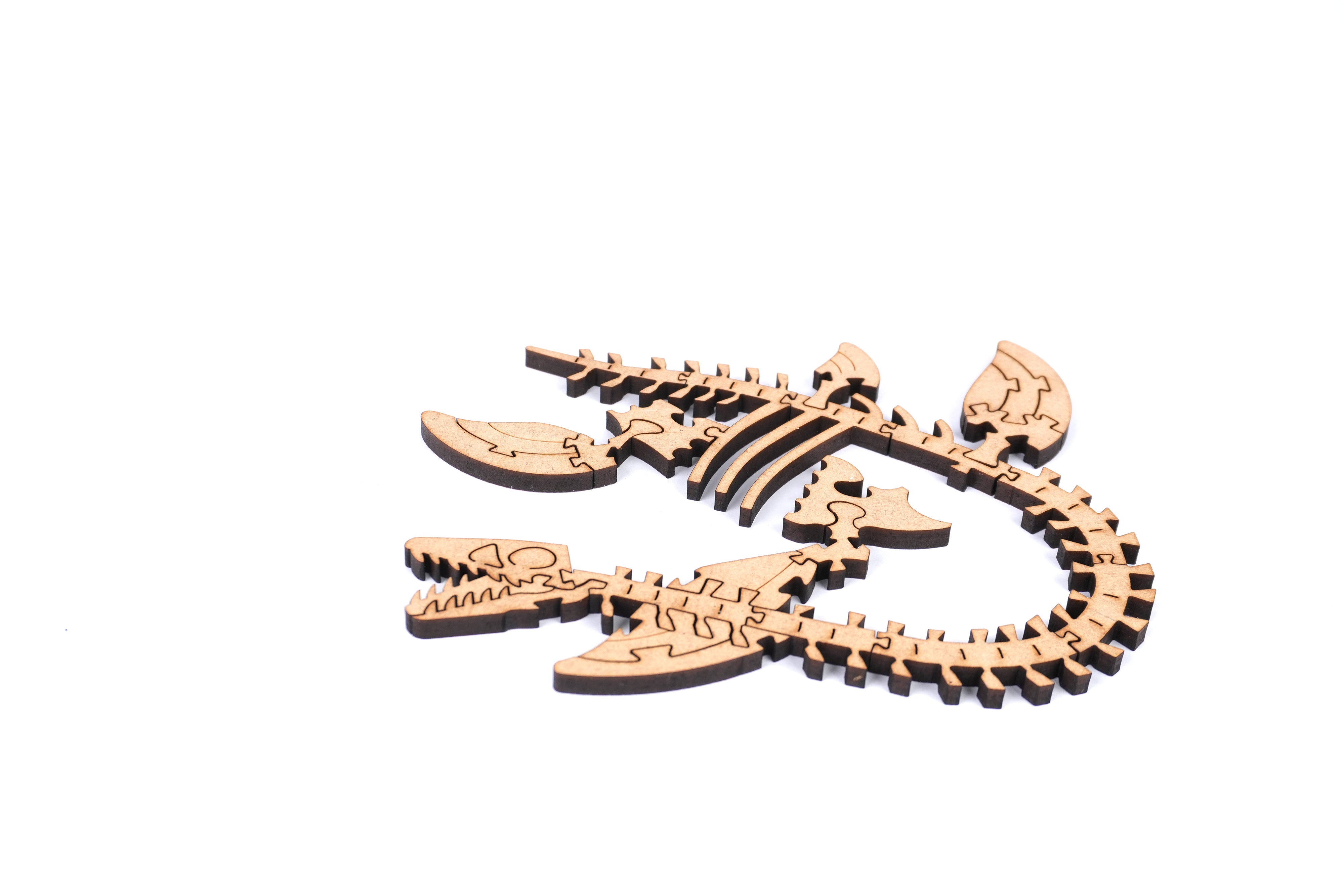 The Cretaceous - Plesiosauria