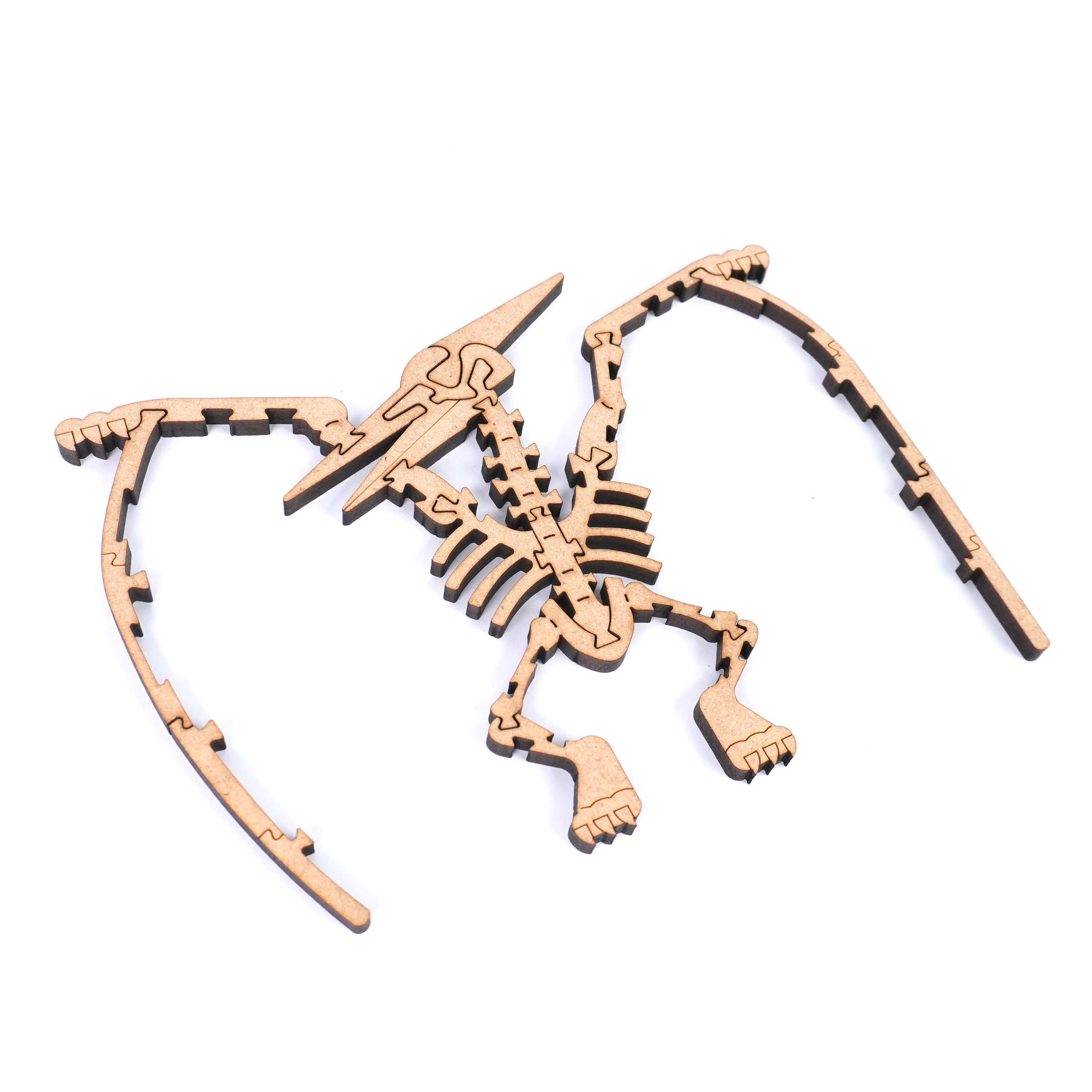 The Cretaceous - Pterosauria