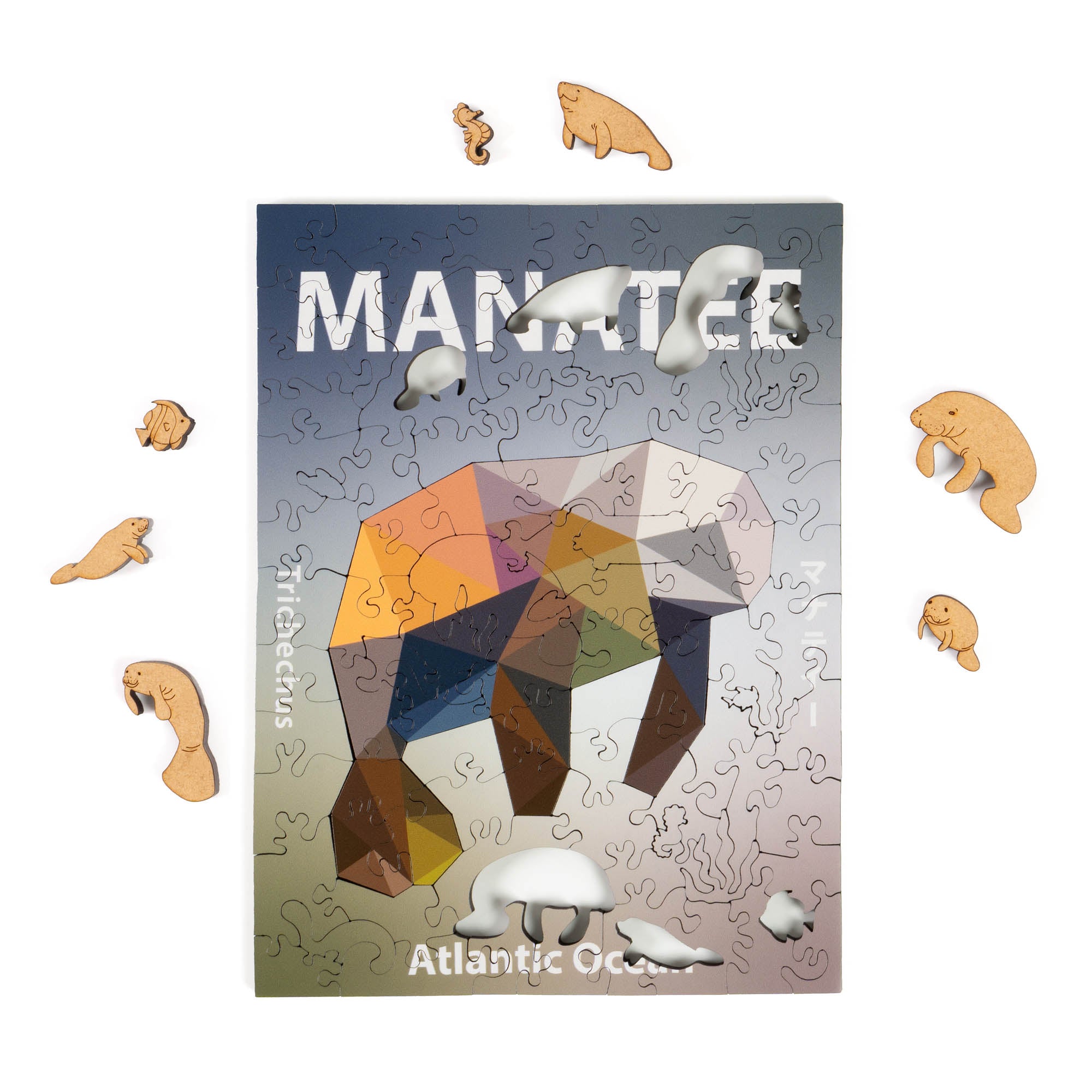 World Ocean Animals-Manatee