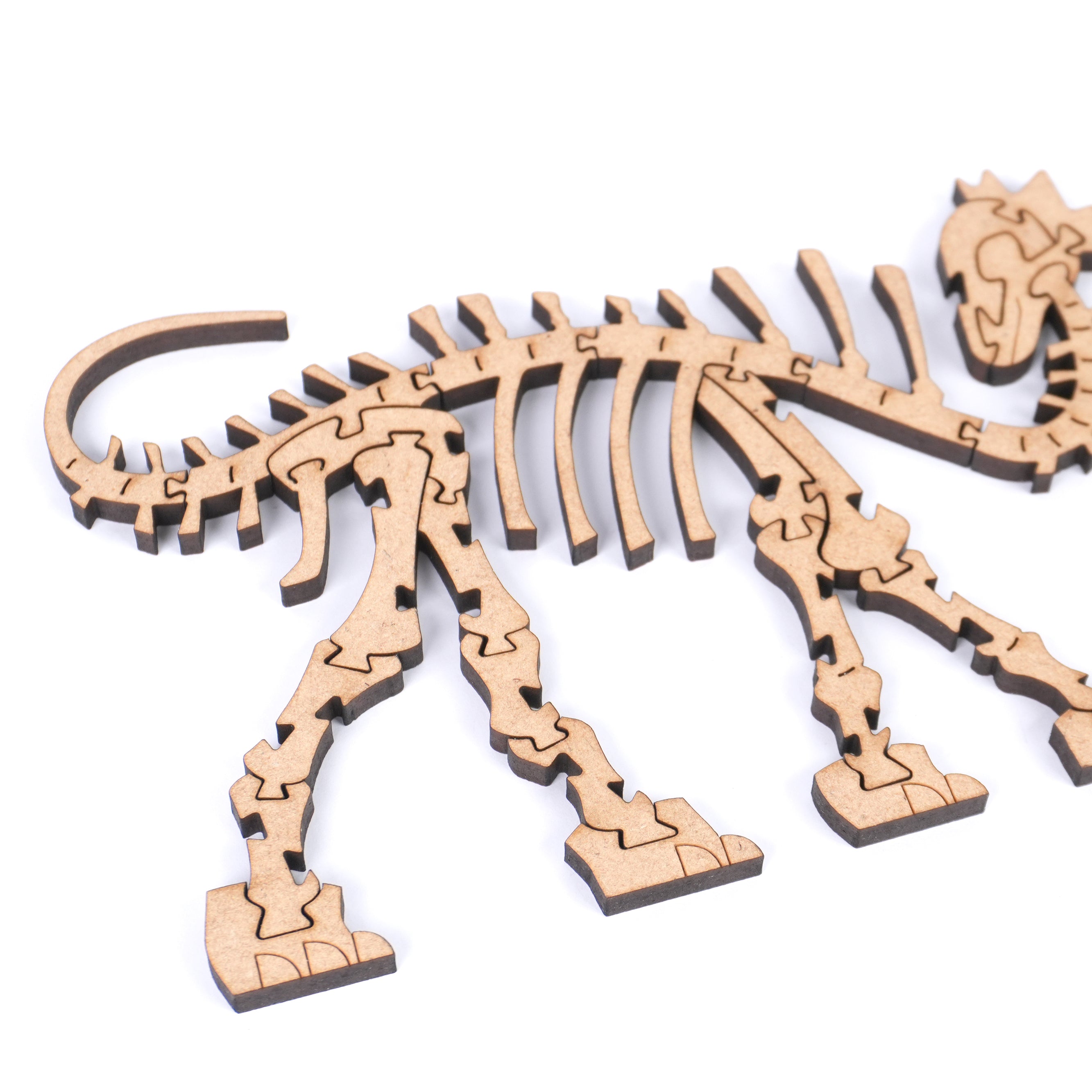 The Cretaceous - Spinosaurus