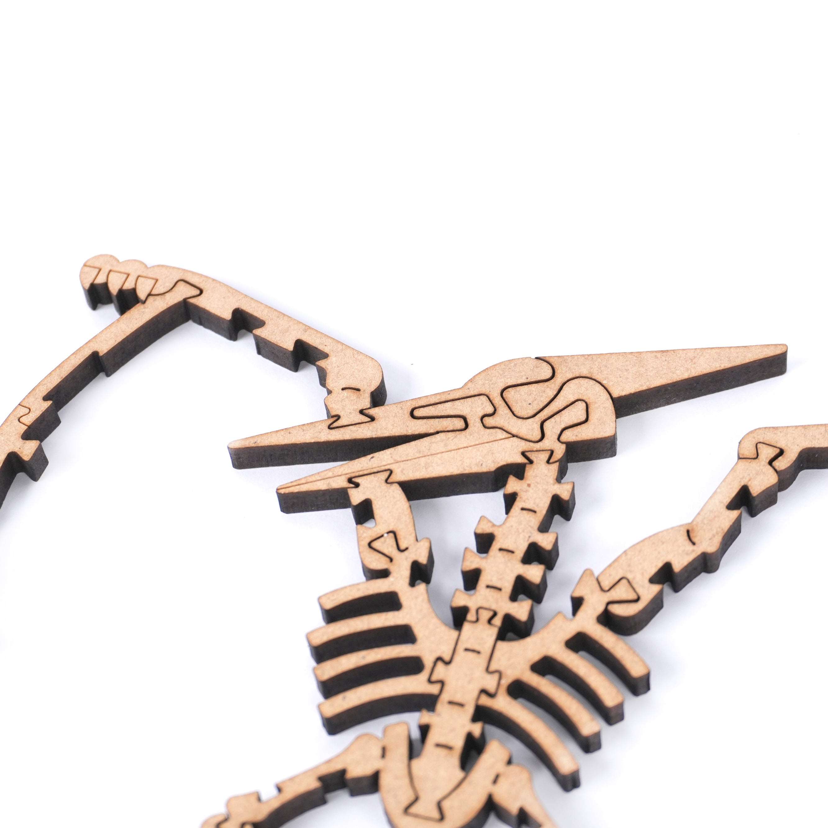 The Cretaceous - Pterosauria