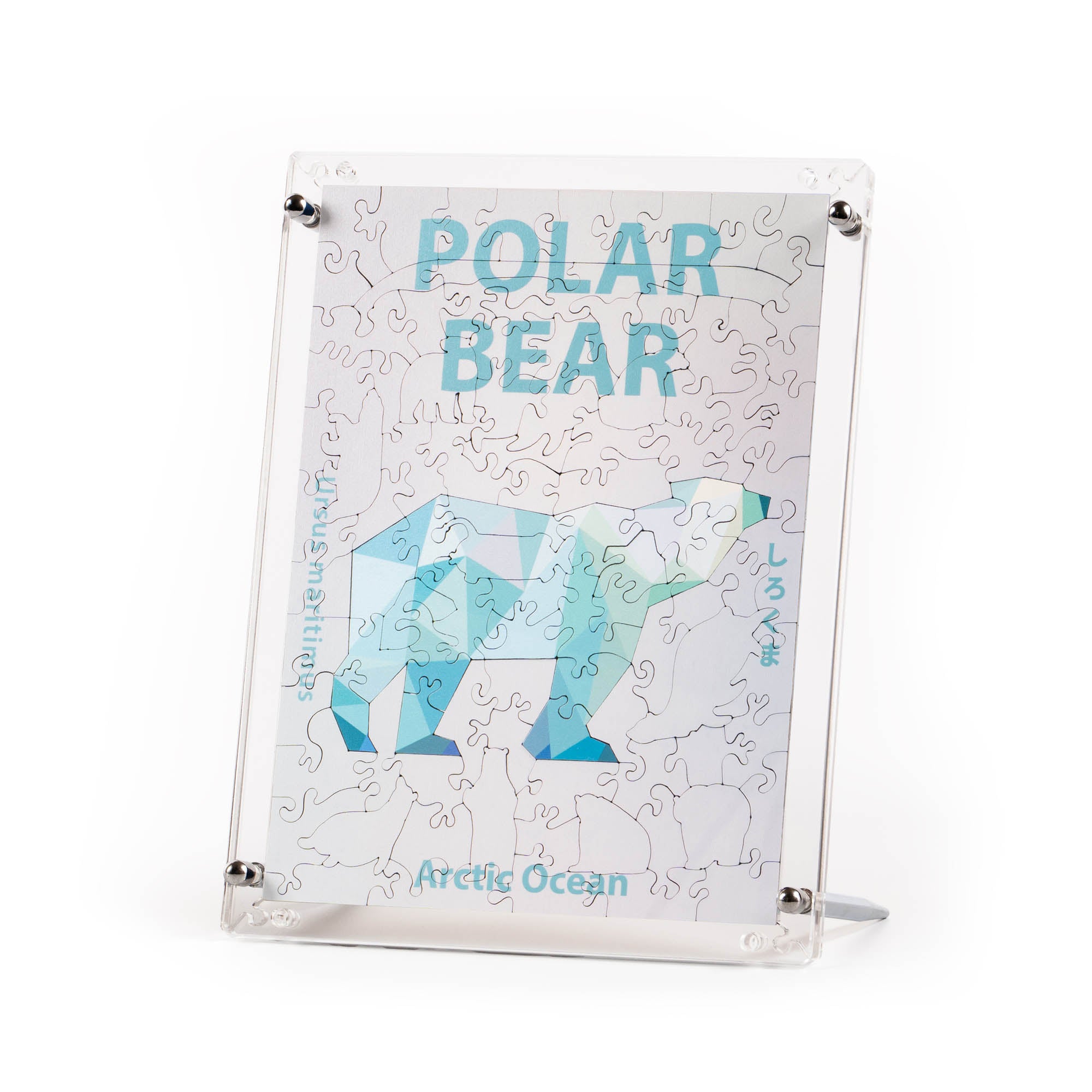 World Ocean Animals-Polar Bear