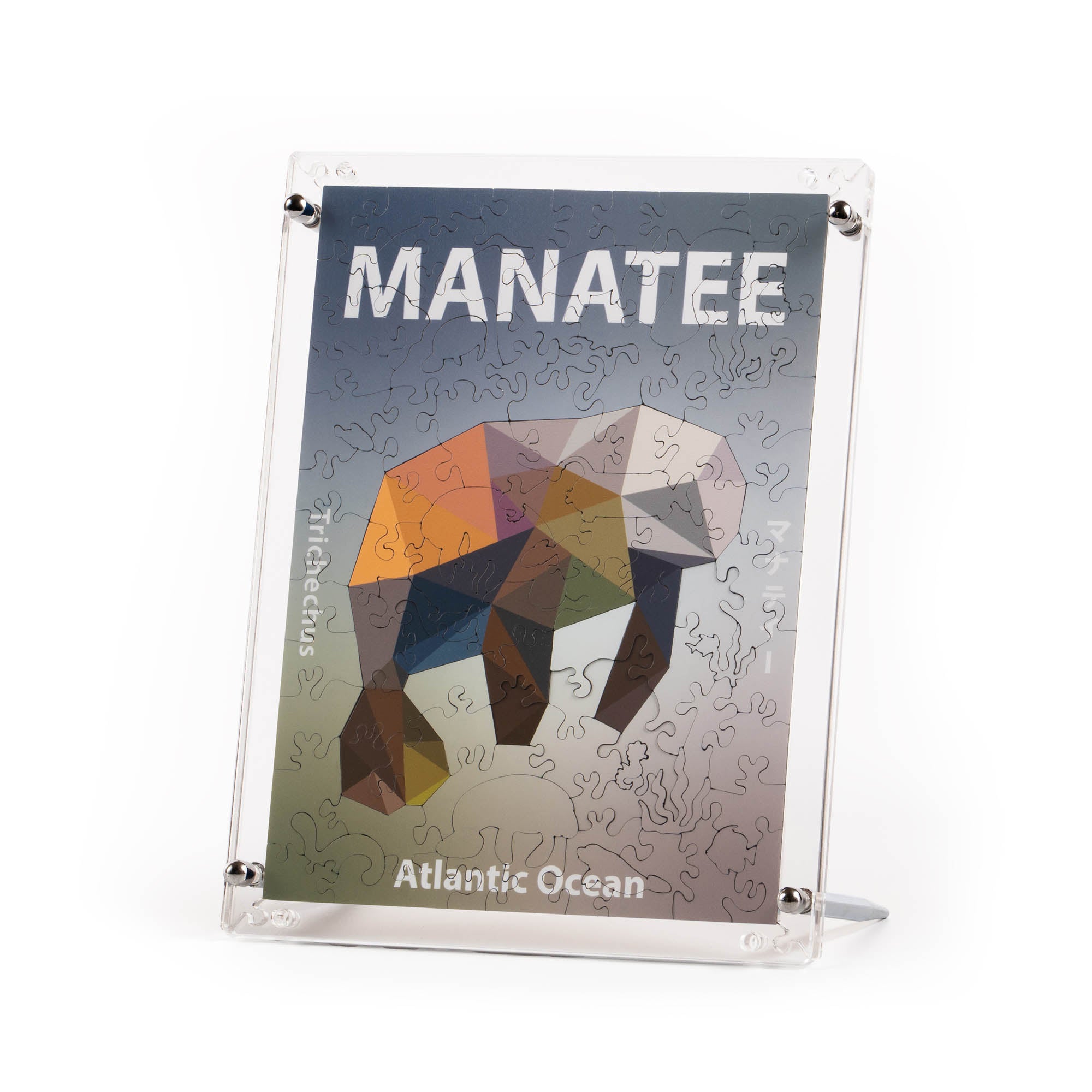 World Ocean Animals-Manatee