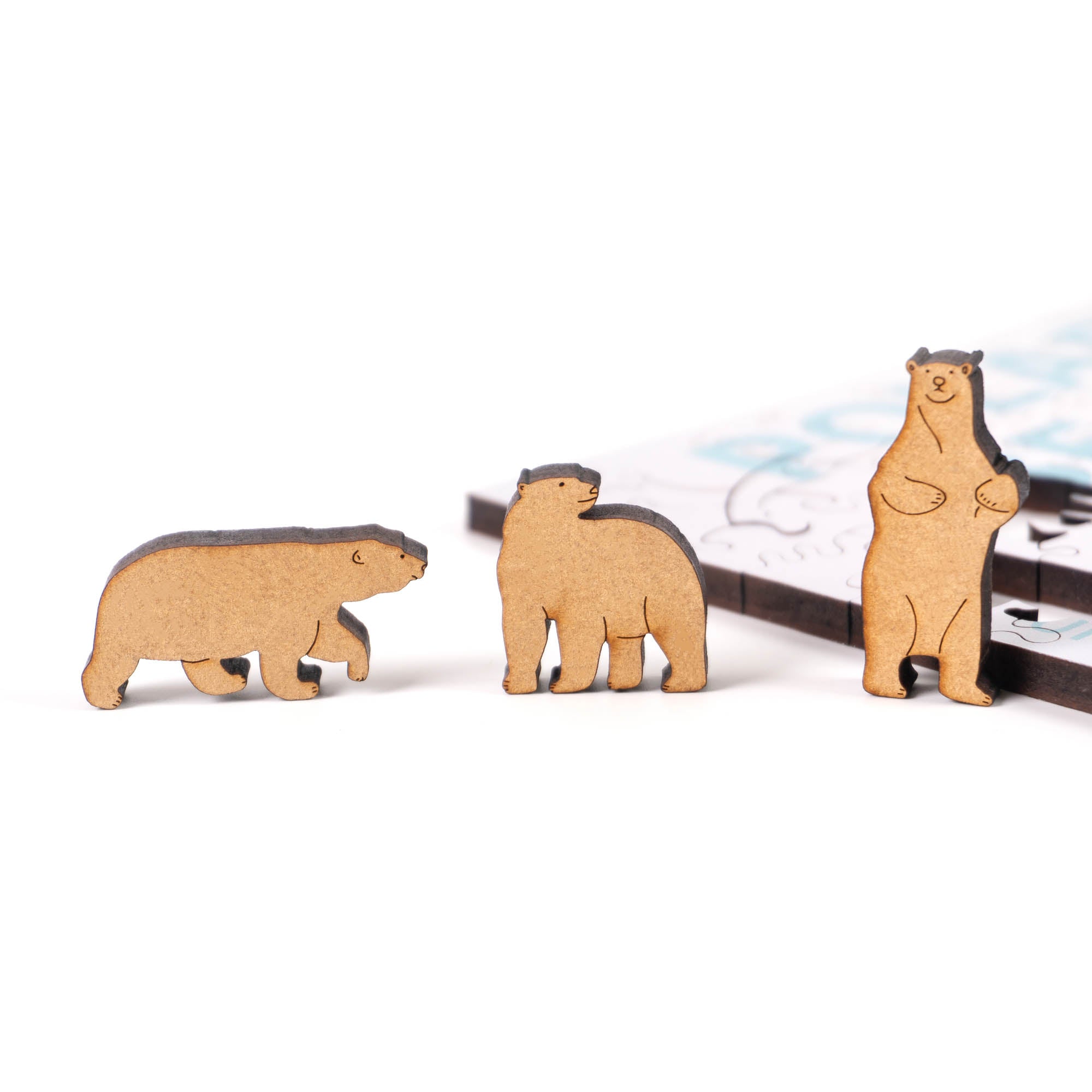 World Ocean Animals-Polar Bear