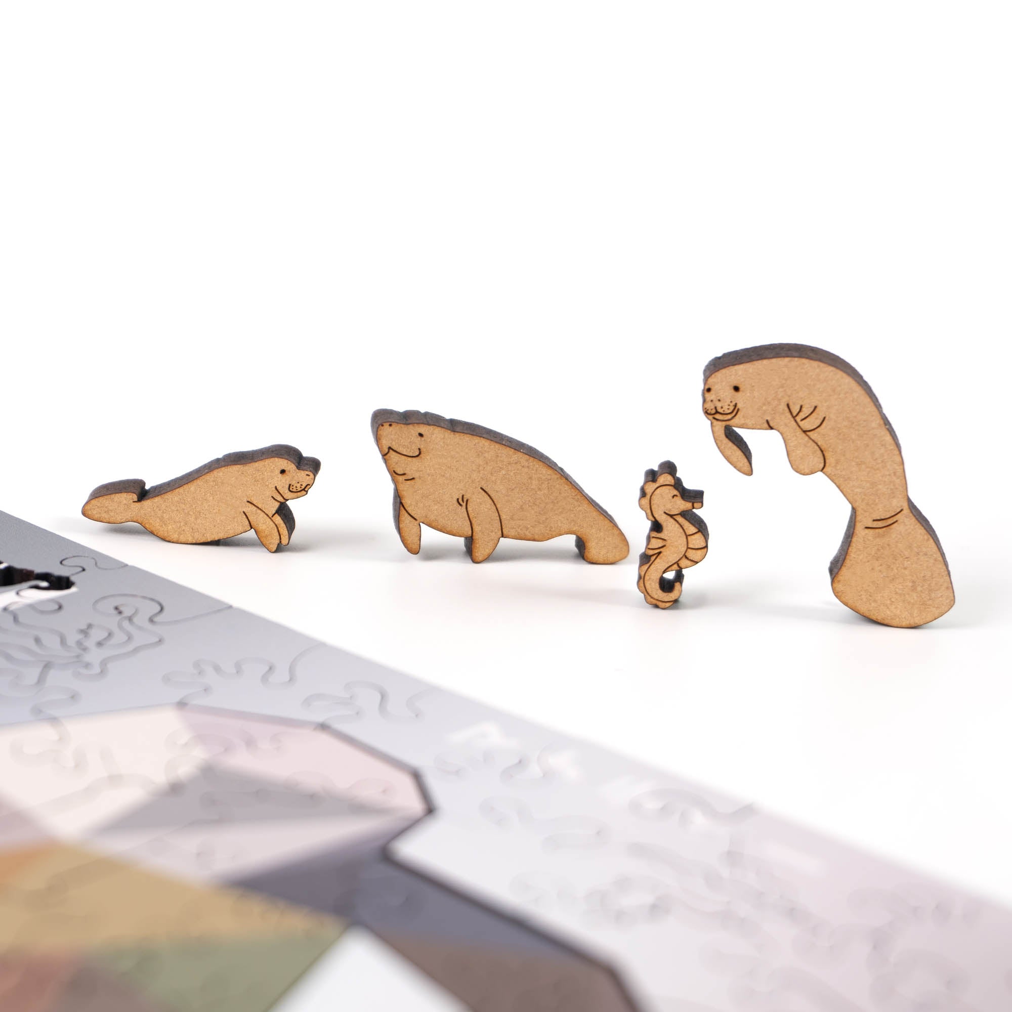 World Ocean Animals-Manatee