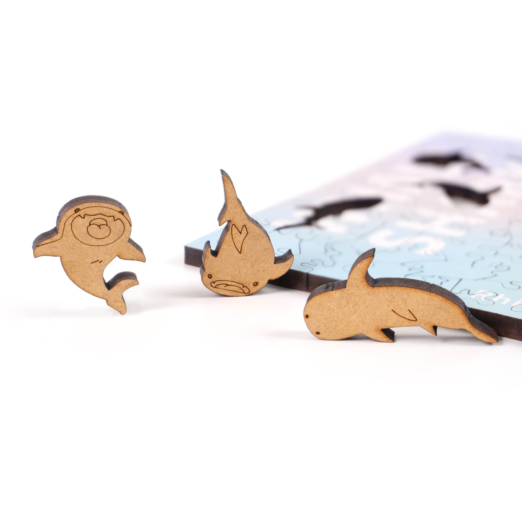 World Ocean Animals-Humpback Whale