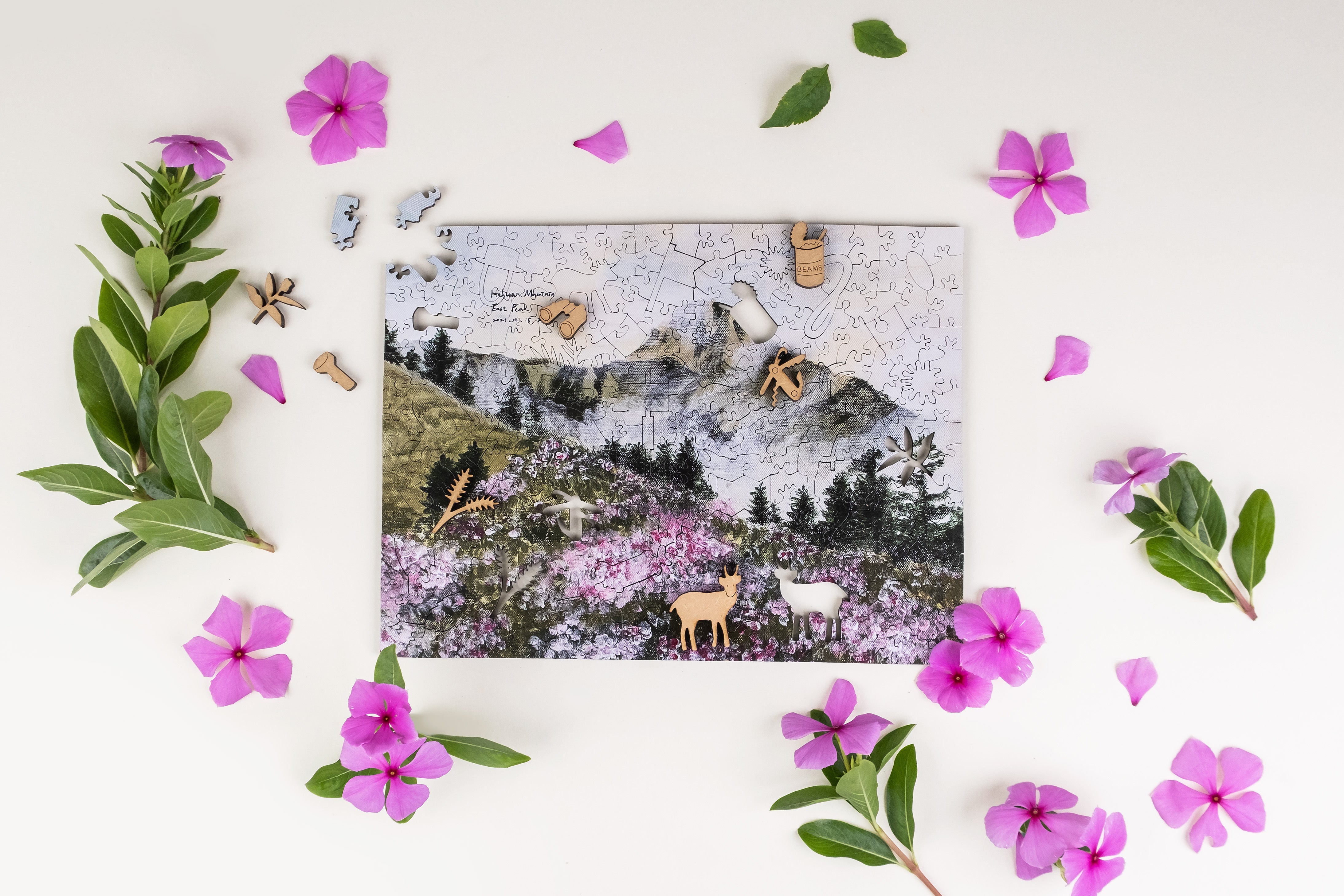 Taiwanese Mountains-May. Mt. Hehuan East Peak