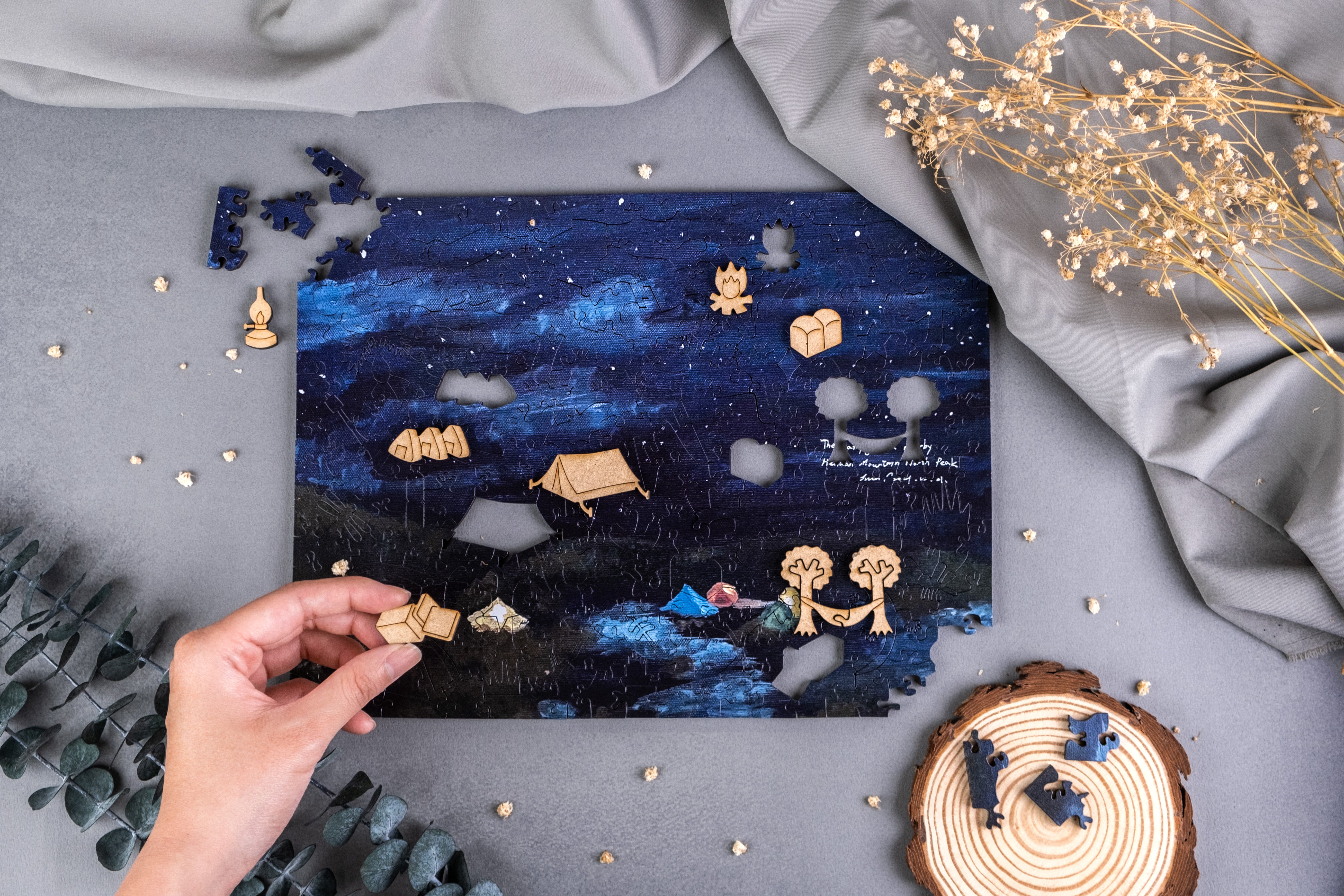 Taiwanese Mountains-Aug. The Campground