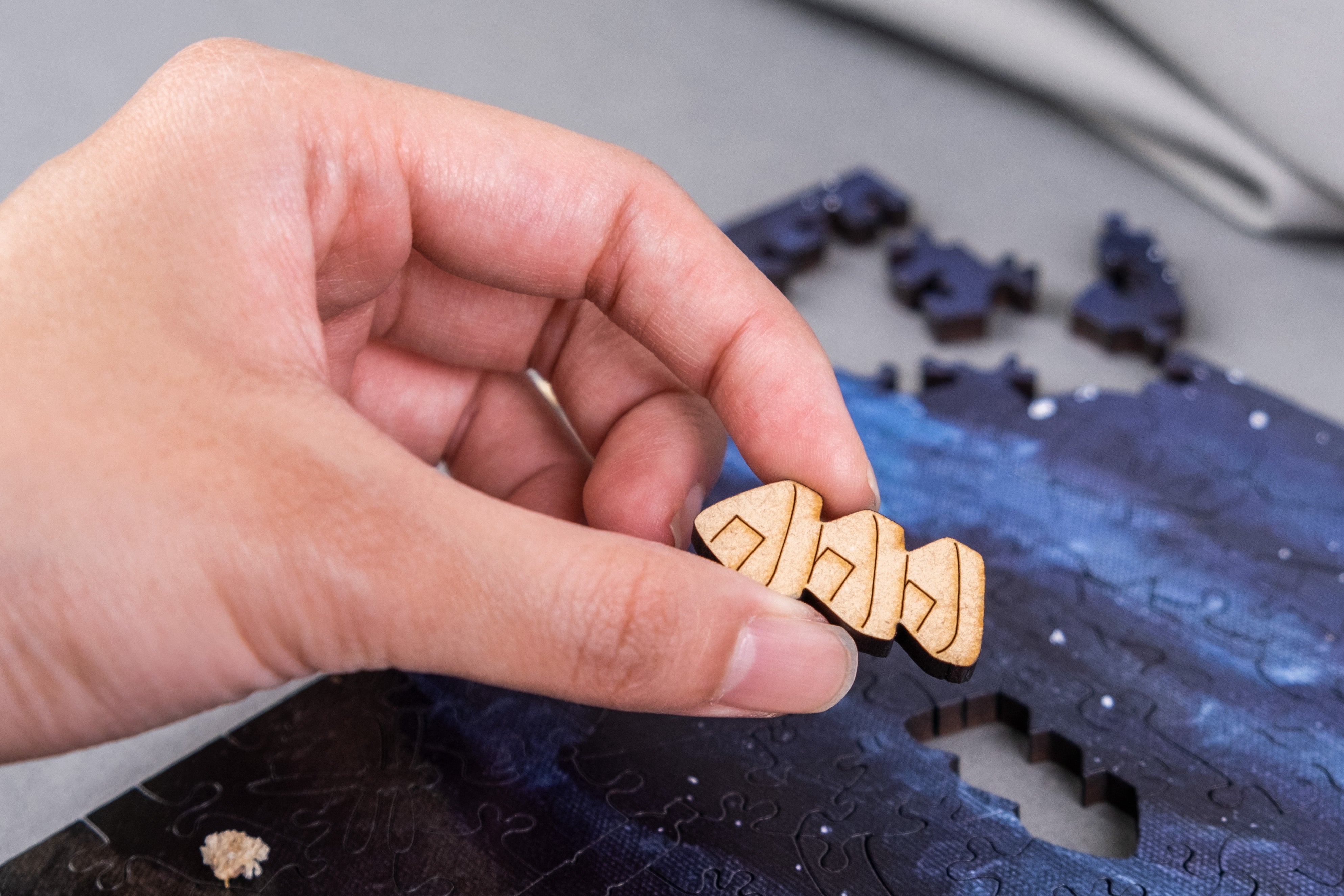 Taiwanese Mountains-Aug. The Campground