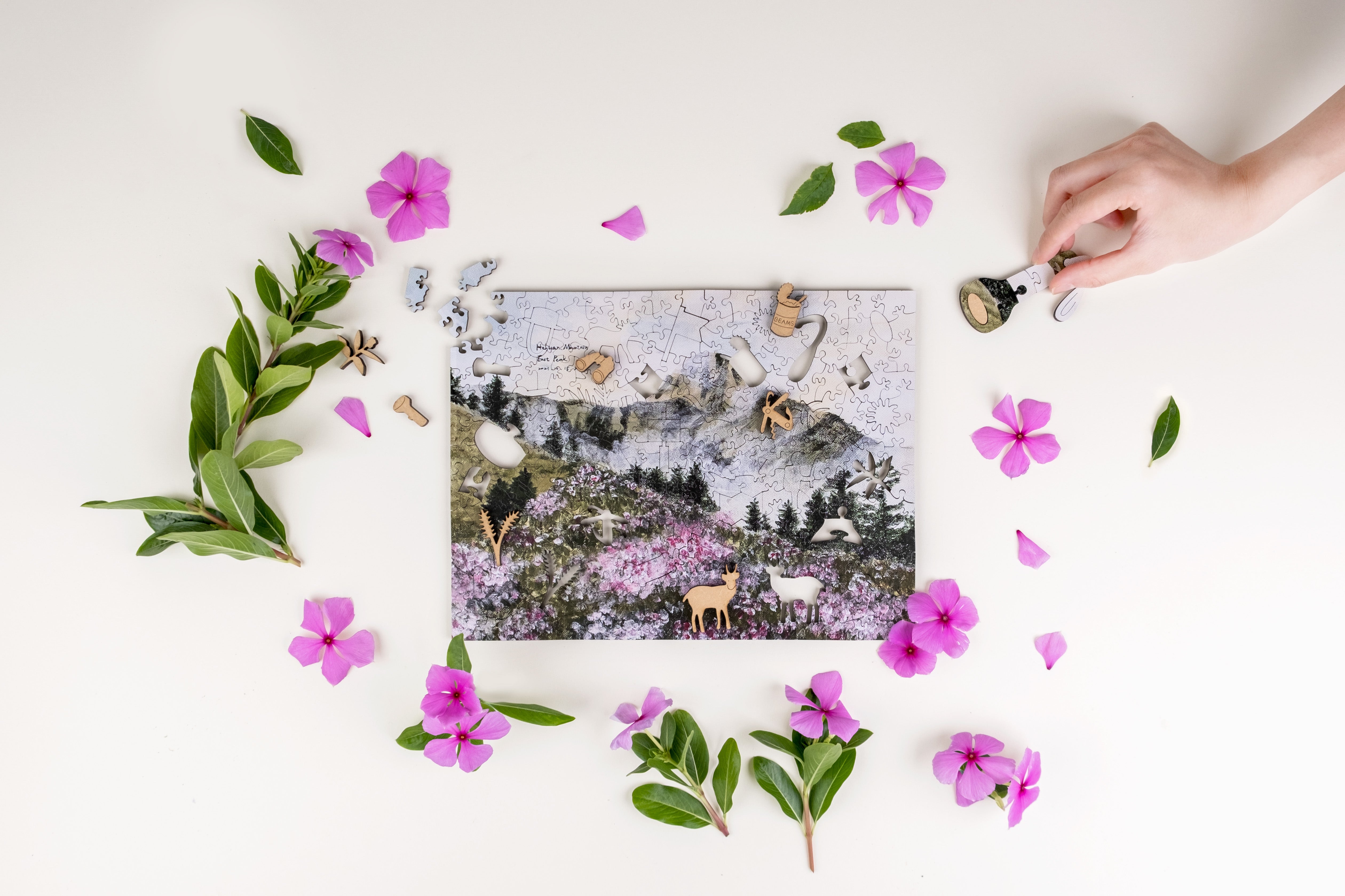 Taiwanese Mountains-May. Mt. Hehuan East Peak