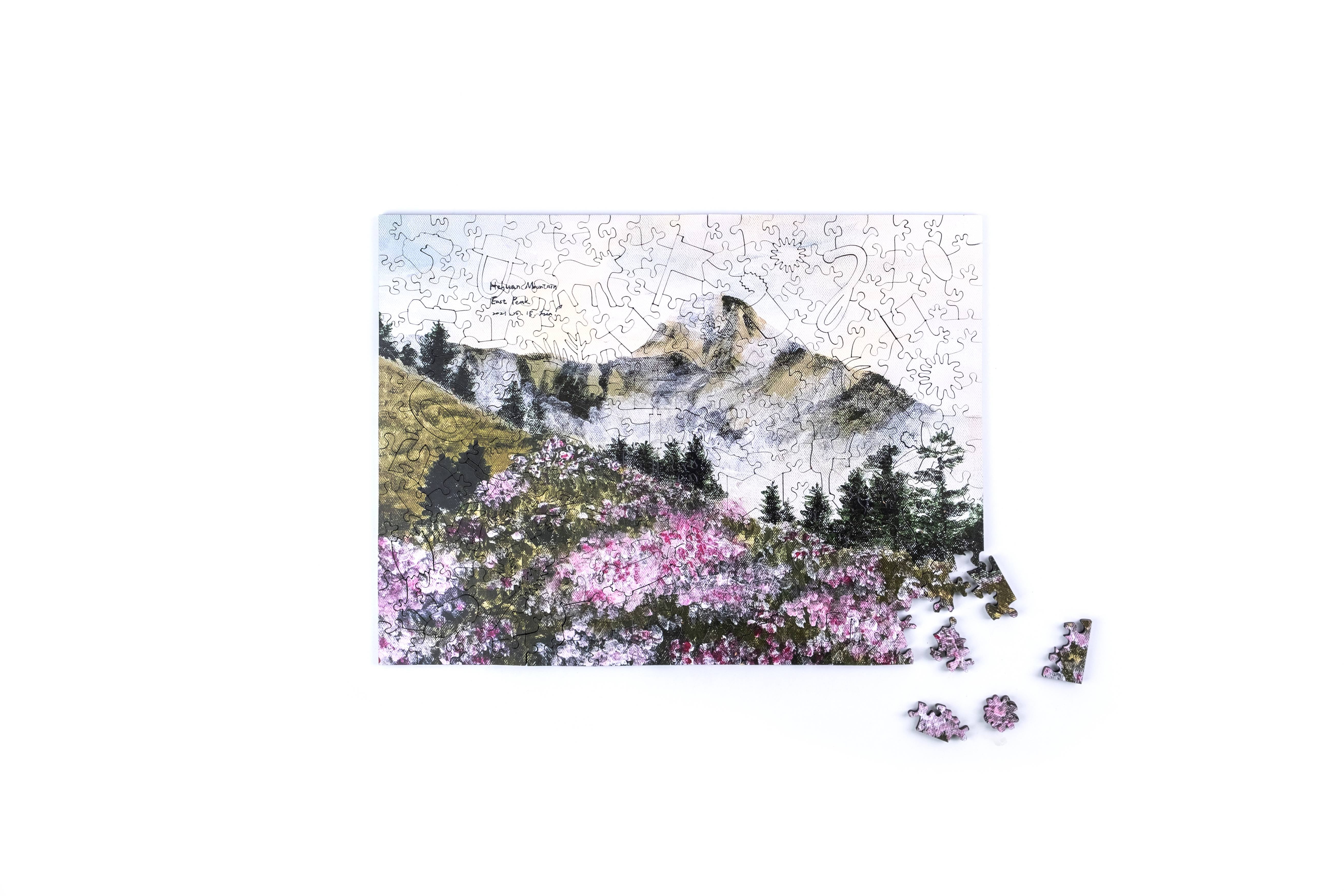 Taiwanese Mountains-May. Mt. Hehuan East Peak