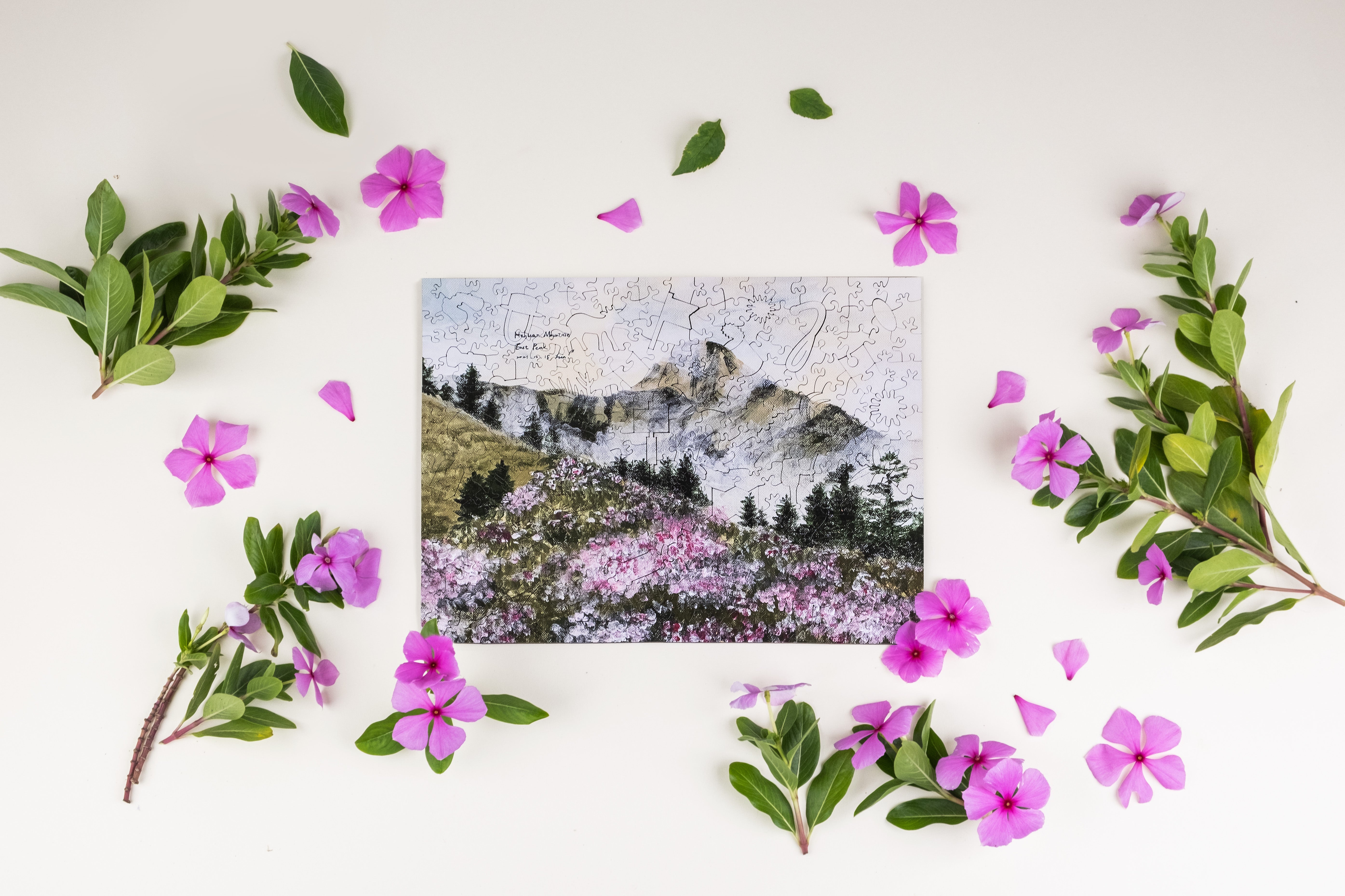 Taiwanese Mountains-May. Mt. Hehuan East Peak