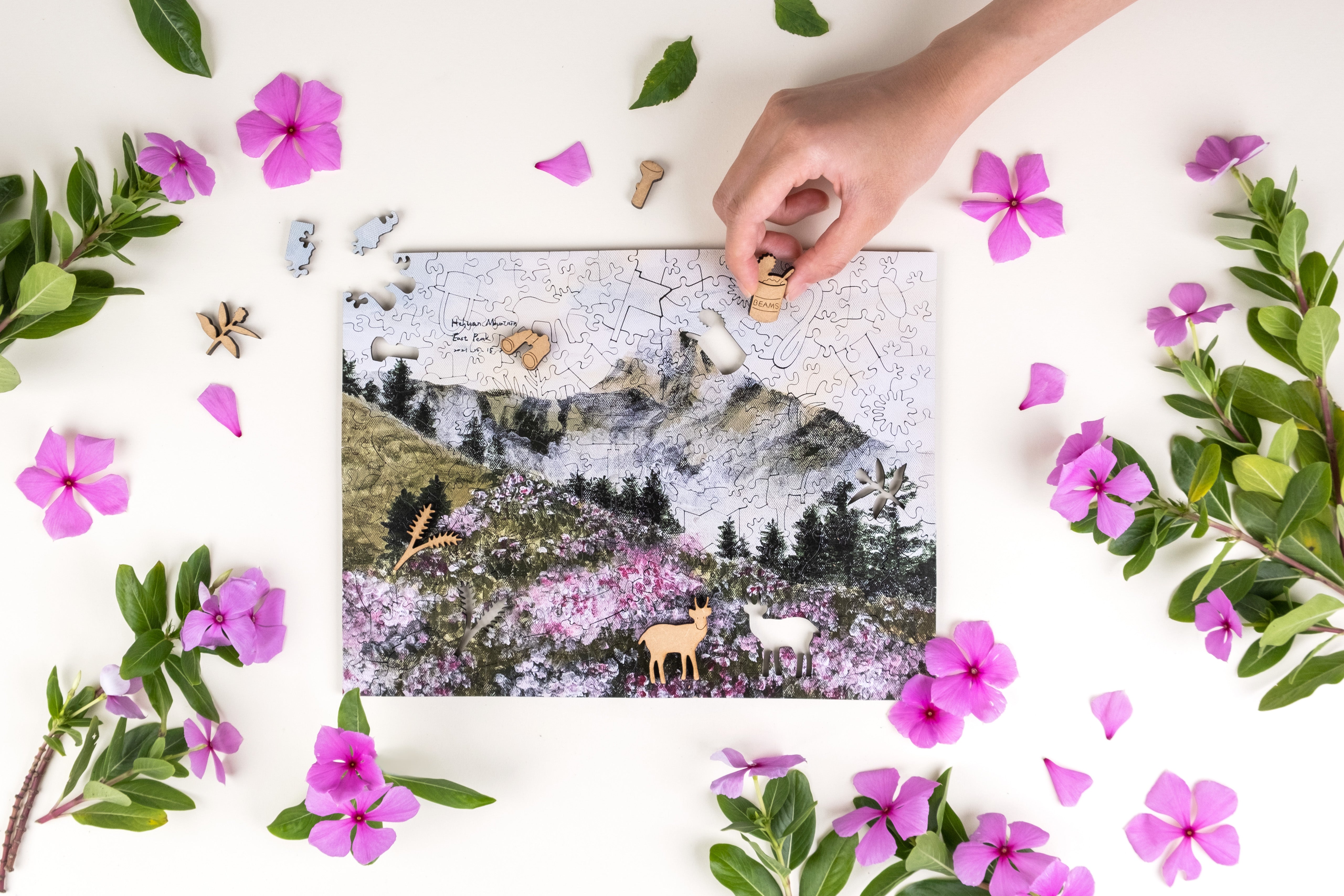 Taiwanese Mountains-May. Mt. Hehuan East Peak