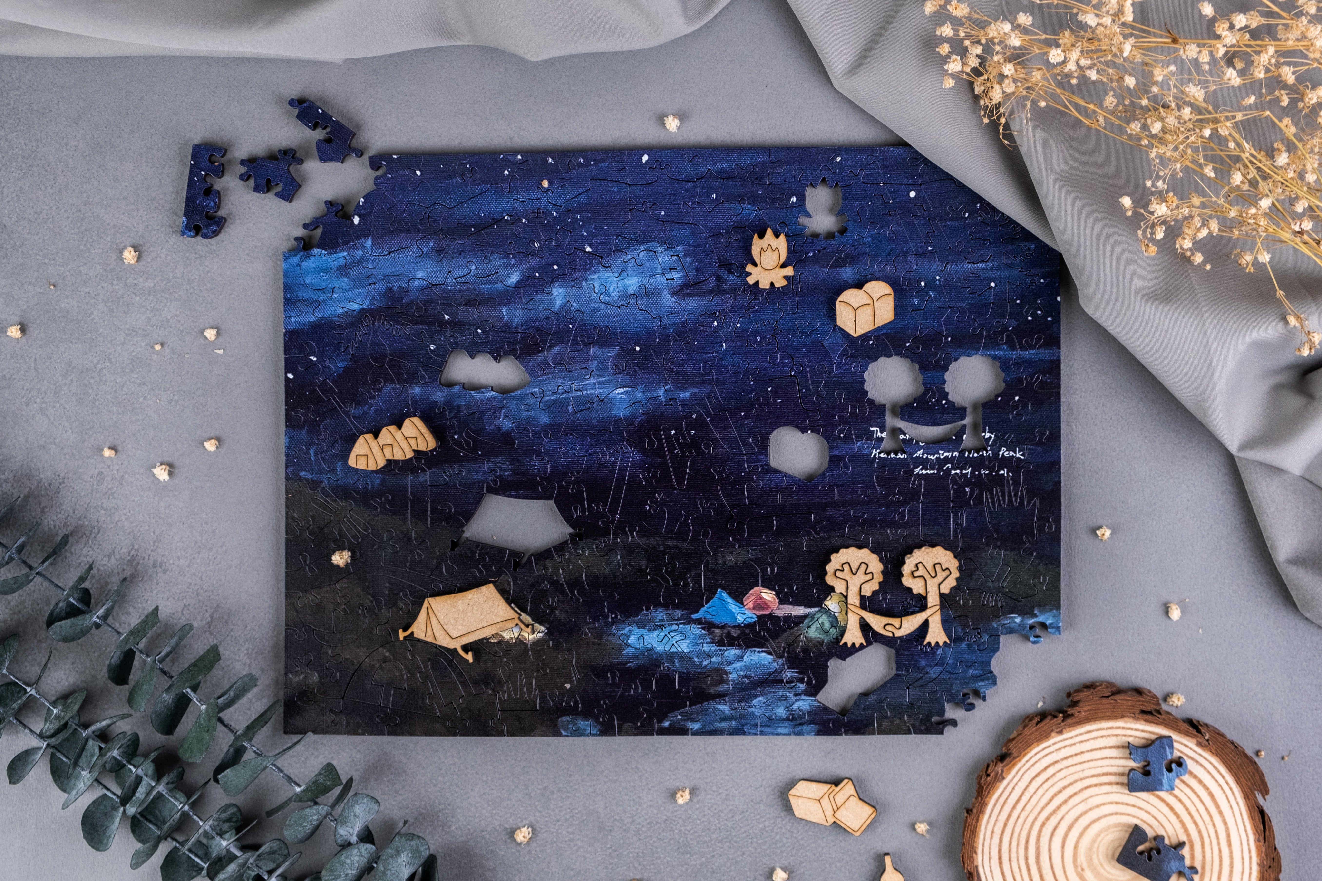 Taiwanese Mountains-Aug. The Campground