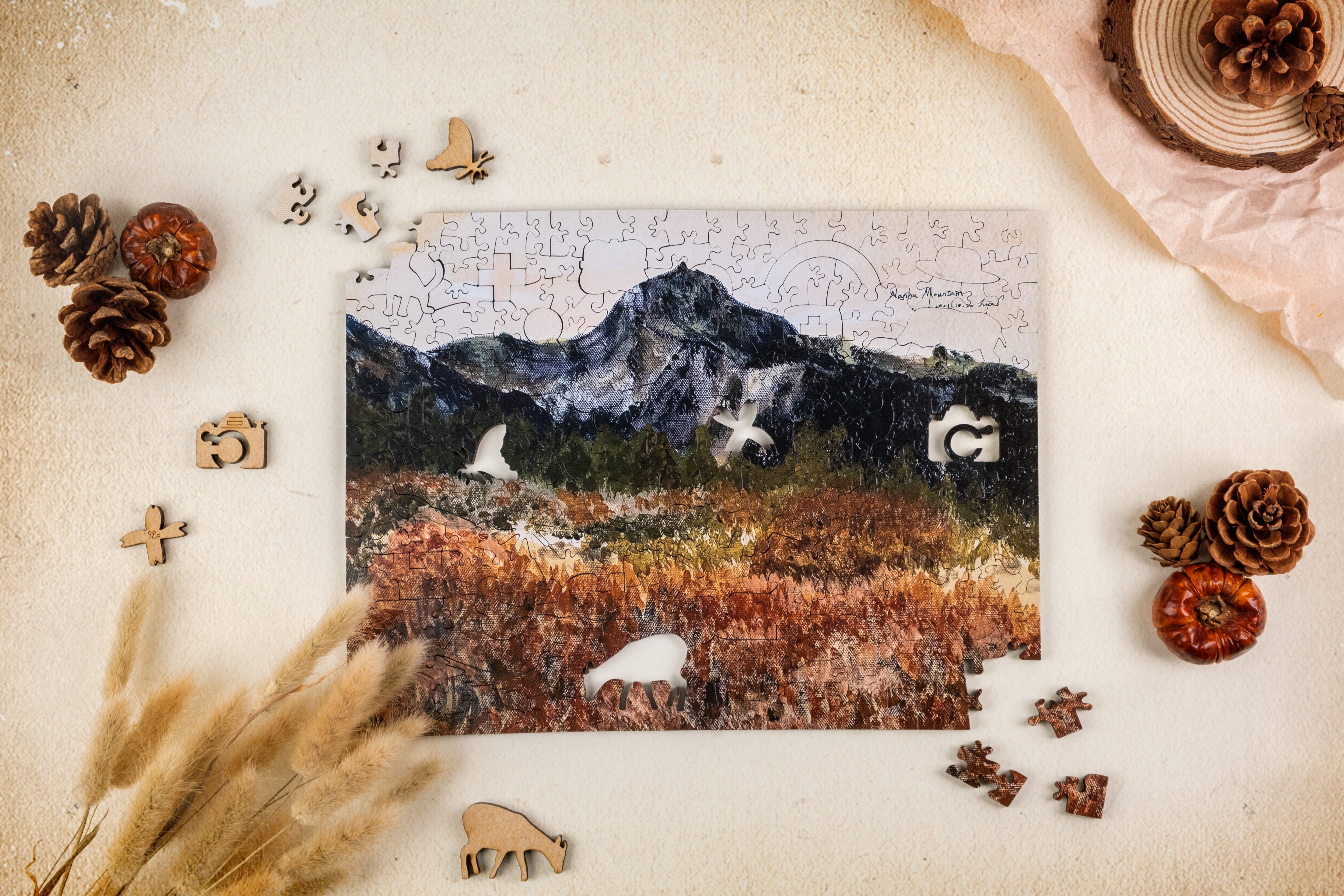 Taiwanese Mountains-Jul. Mt. Nanhu