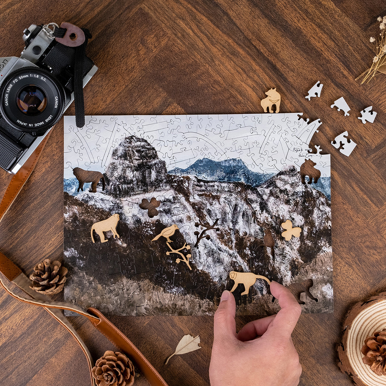 Taiwanese Mountains-Feb. Mt. Dabajian