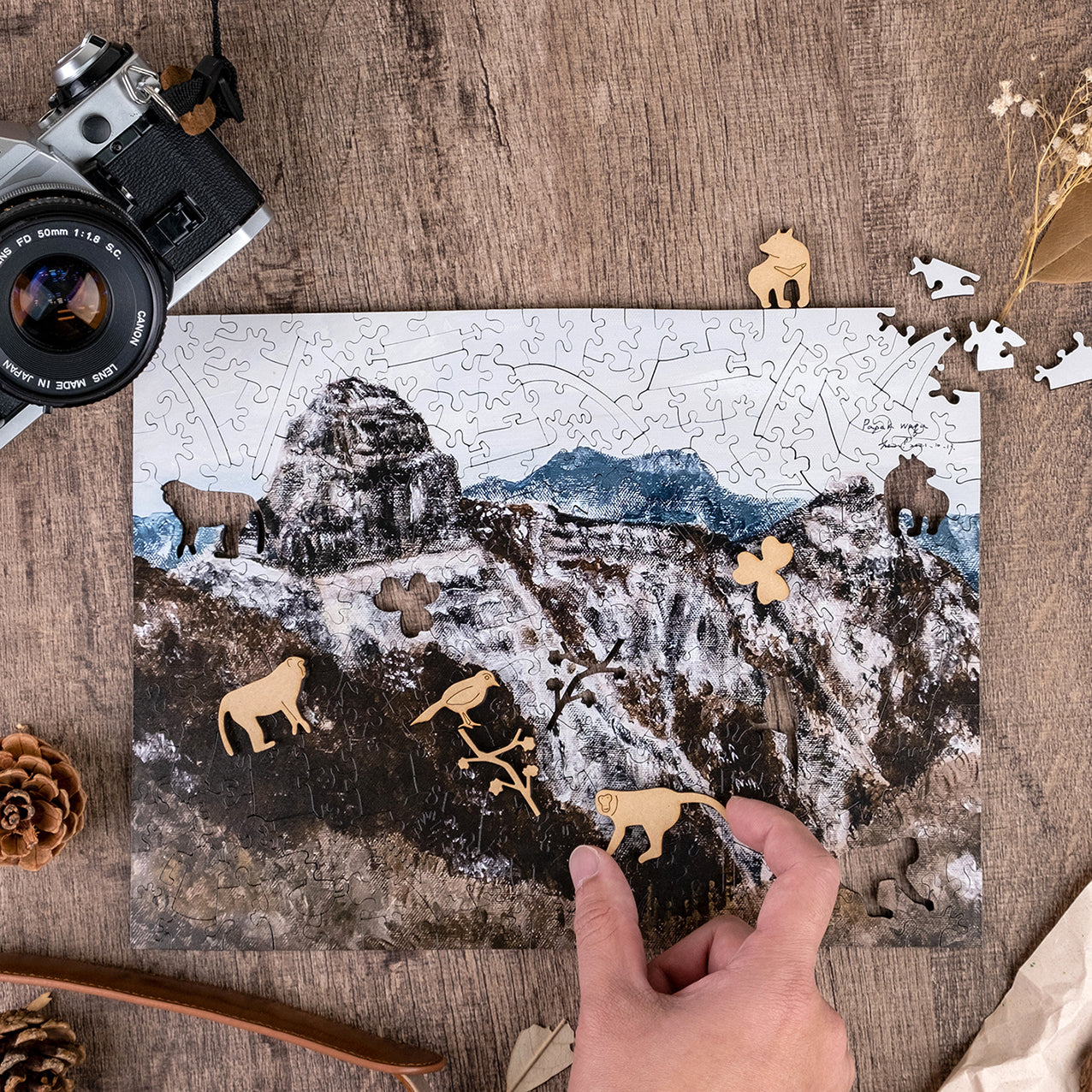 Taiwanese Mountains-Feb. Mt. Dabajian