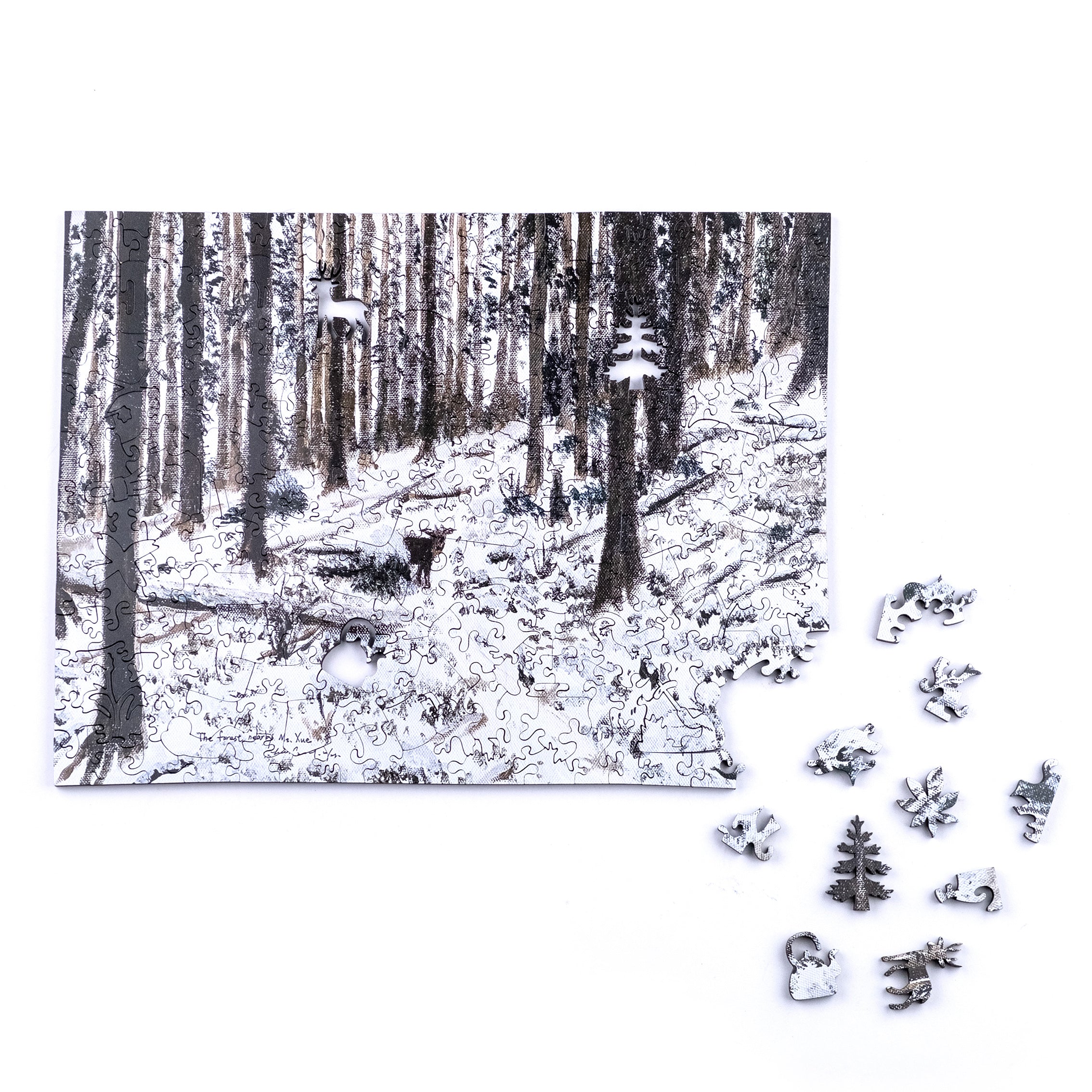 Taiwanese Mountains-Dec. The Forest Nearby Mt.Xue