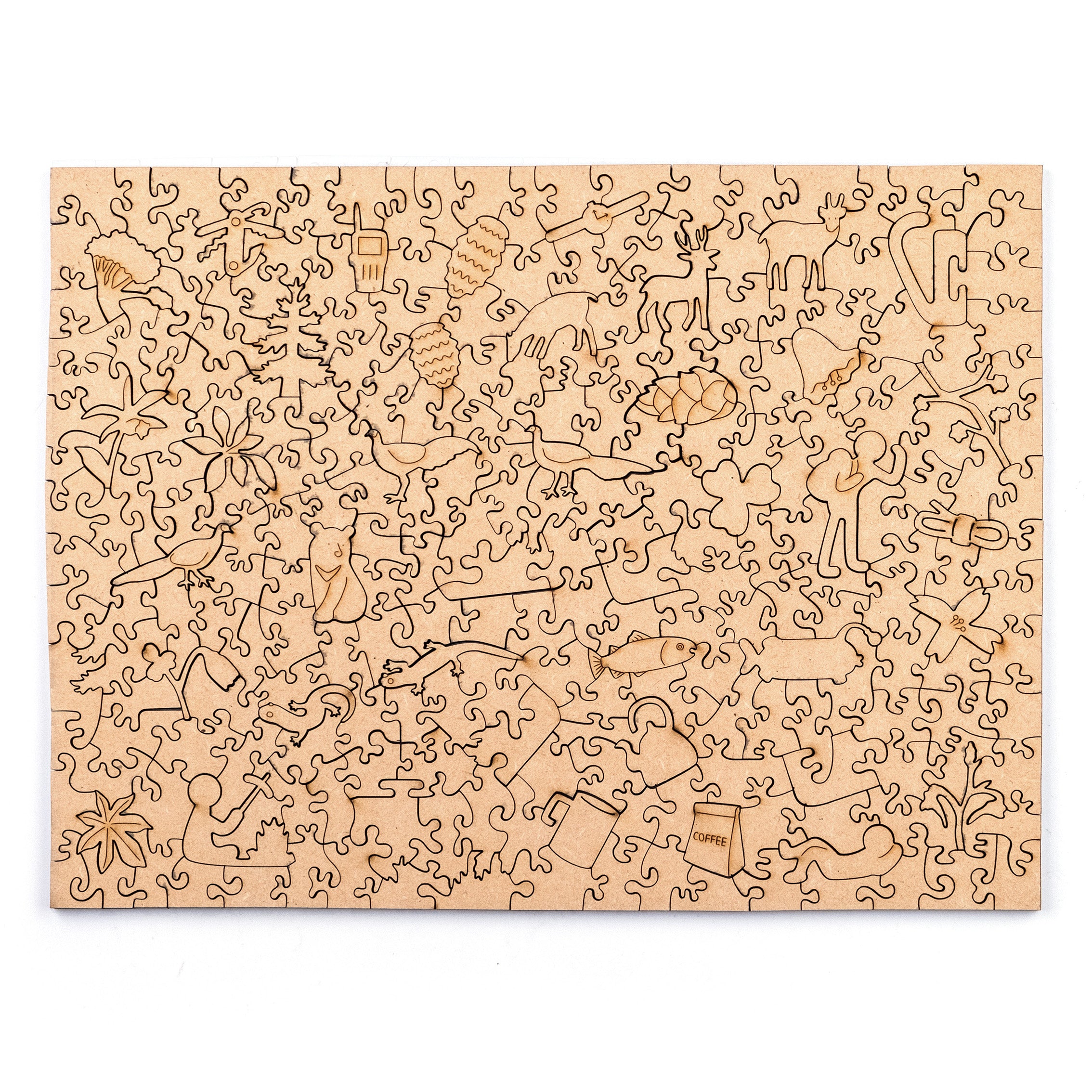 Taiwanese Mountains-Dec. The Forest Nearby Mt.Xue