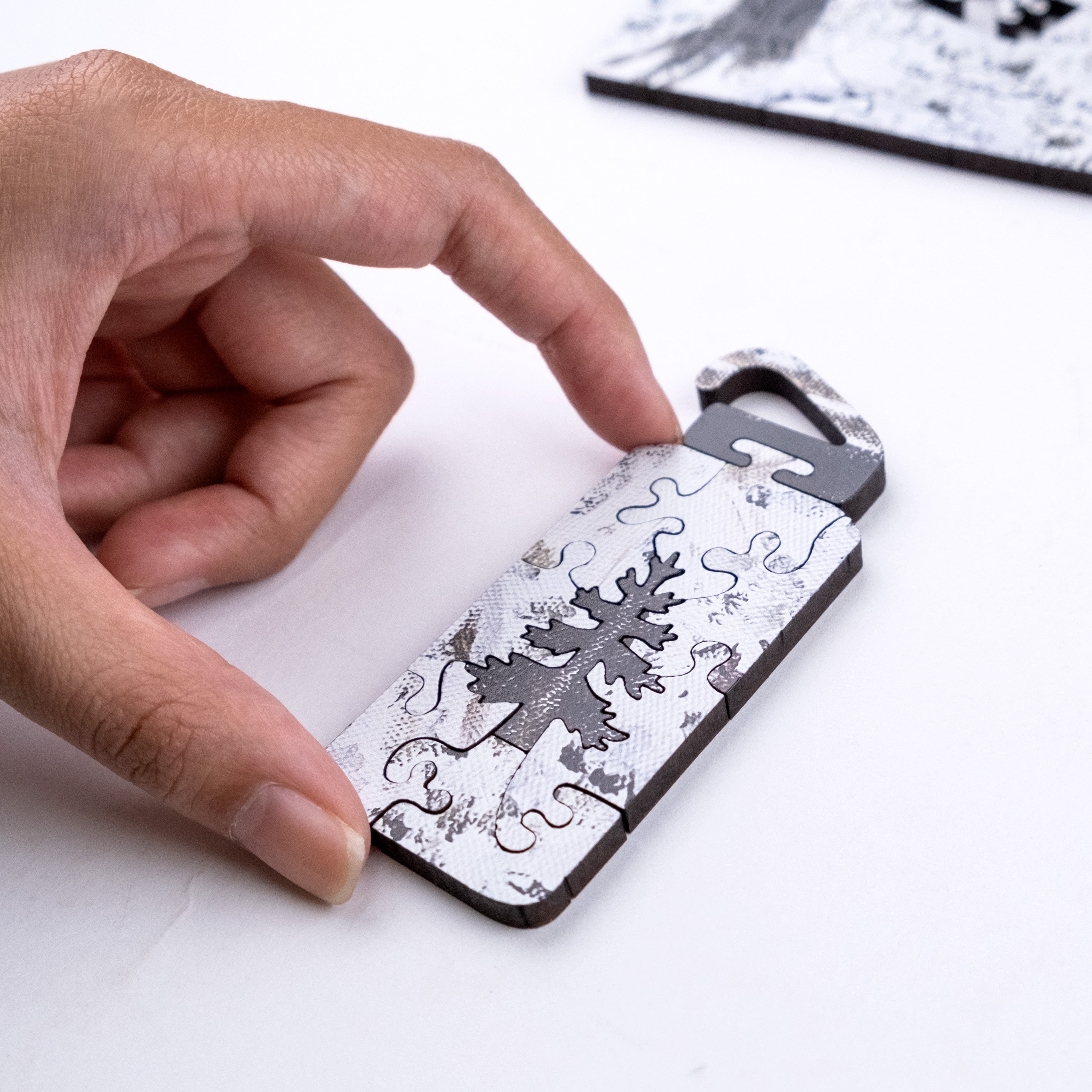 Taiwanese Mountains-Dec. The Forest Nearby Mt.Xue