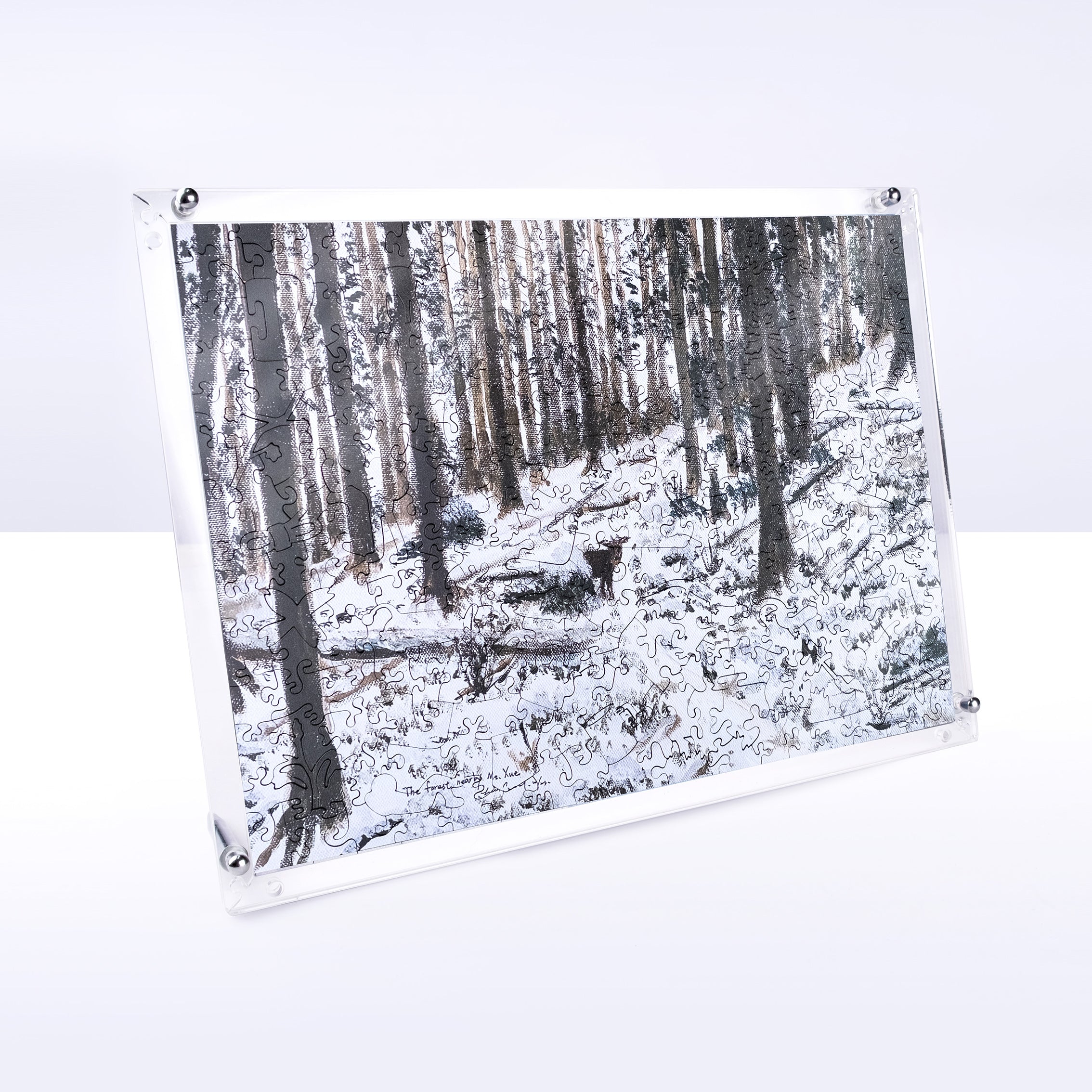 Taiwanese Mountains-Dec. The Forest Nearby Mt.Xue