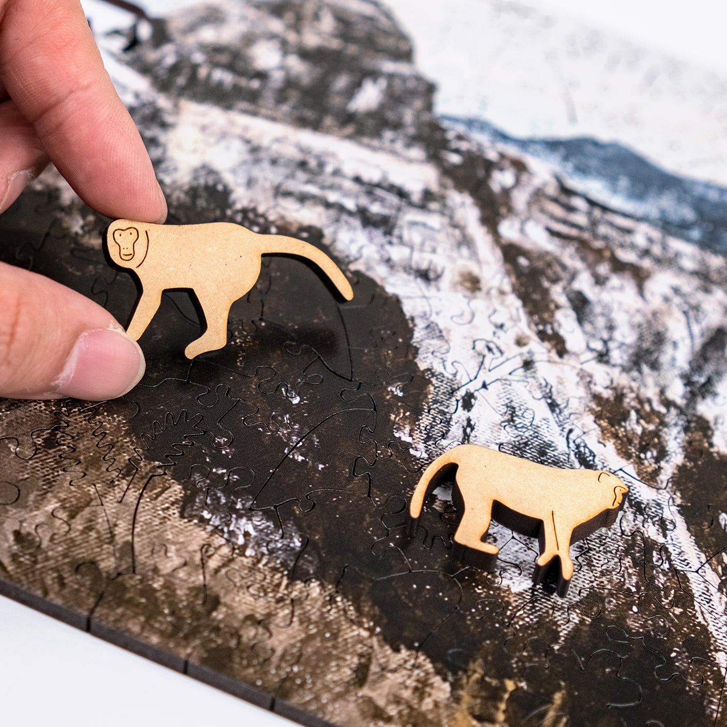 Taiwanese Mountains-Feb. Mt. Dabajian