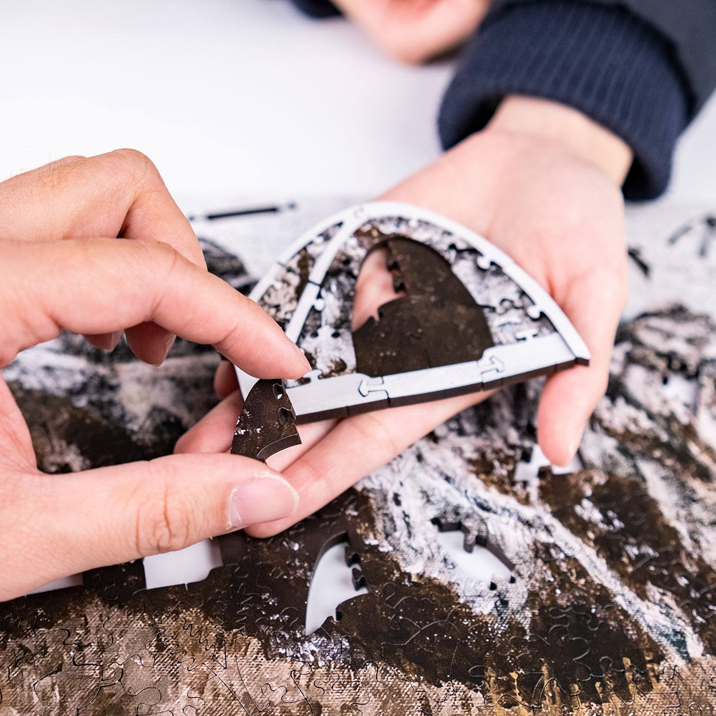 Taiwanese Mountains-Feb. Mt. Dabajian