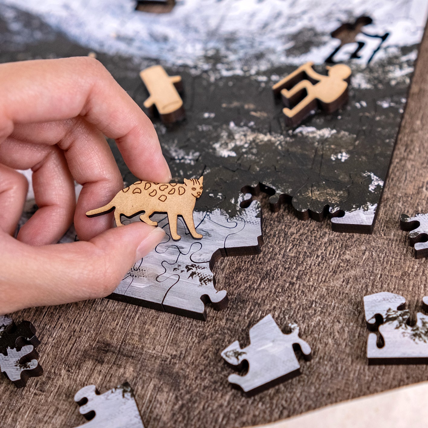 Taiwanese Mountains-Jan. Mt. Xue Glacial Cirques