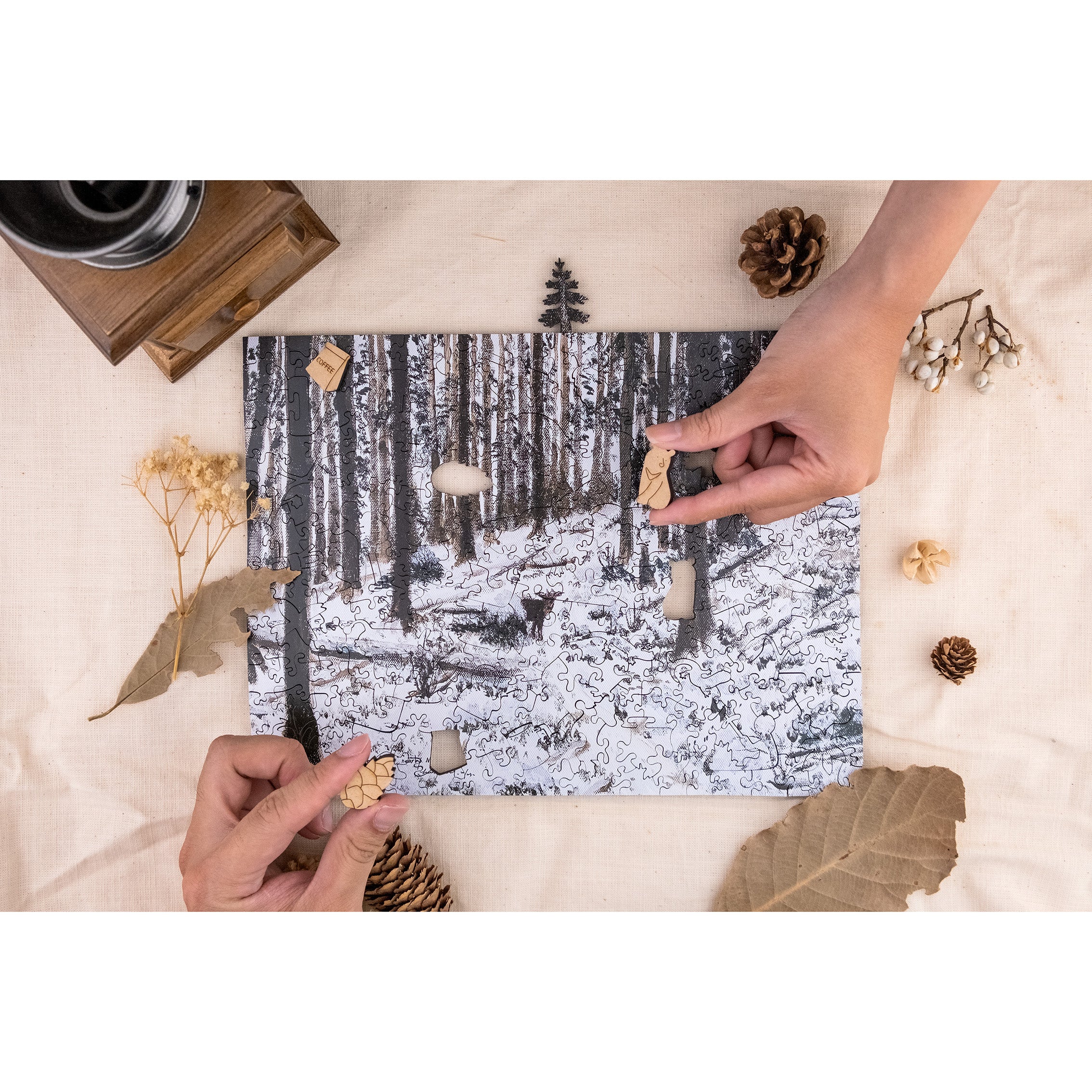 Taiwanese Mountains-Dec. The Forest Nearby Mt.Xue