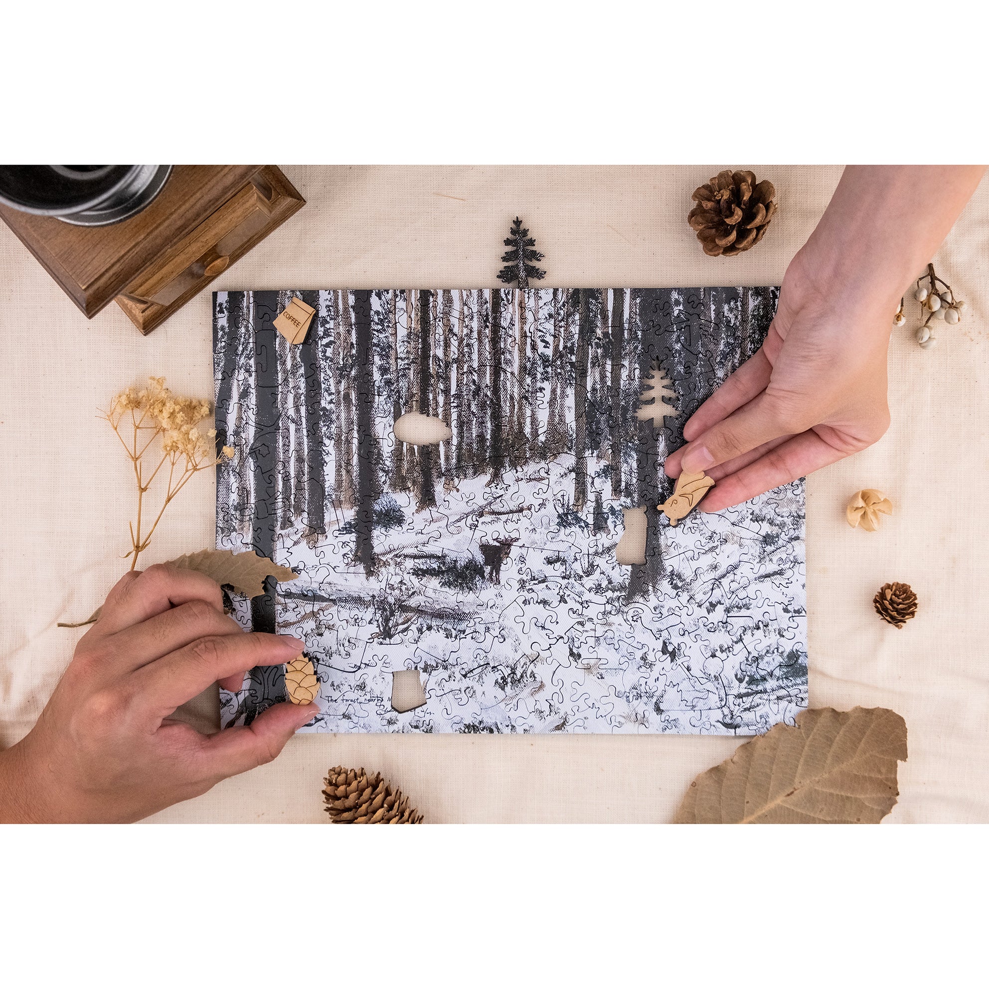 Taiwanese Mountains-Dec. The Forest Nearby Mt.Xue