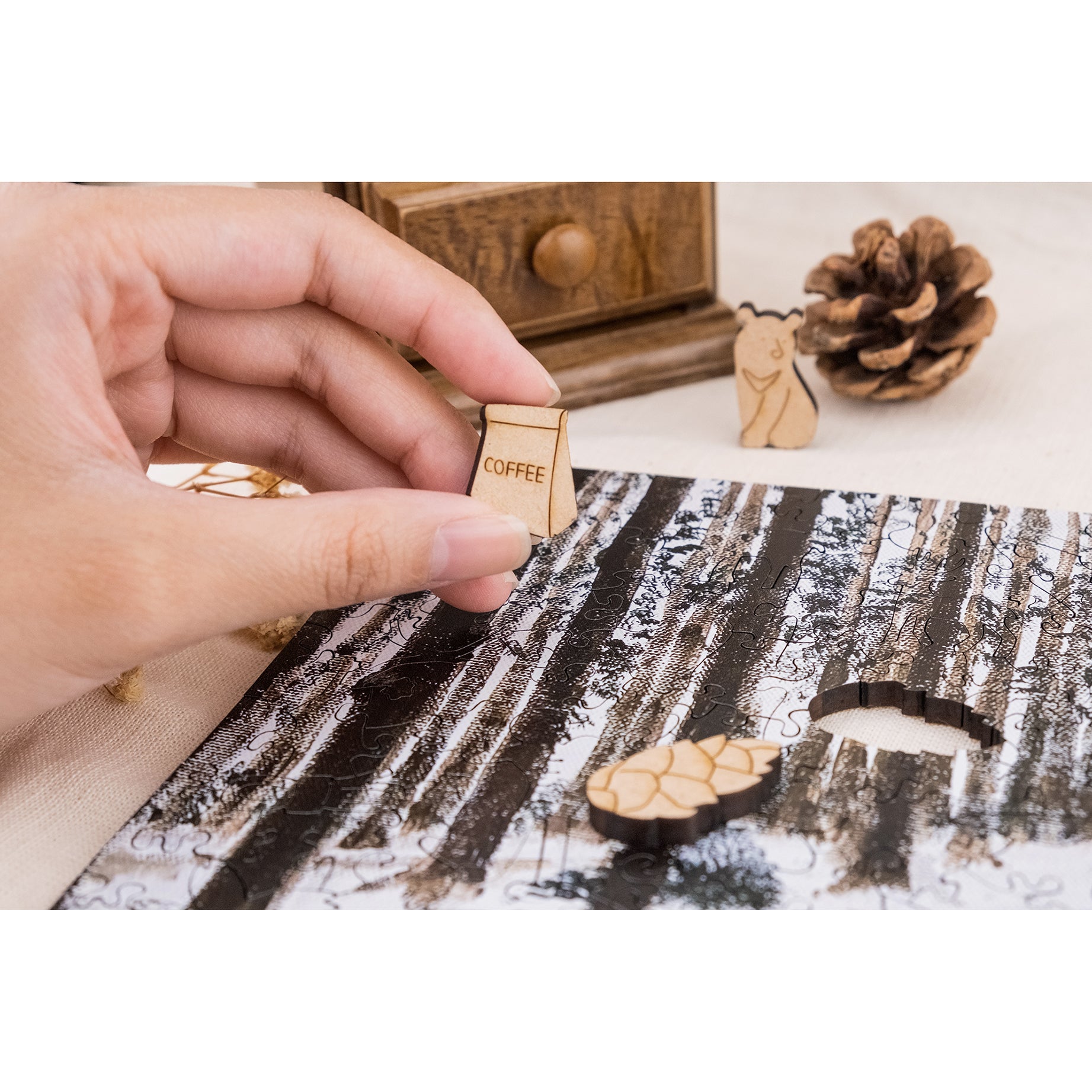 Taiwanese Mountains-Dec. The Forest Nearby Mt.Xue