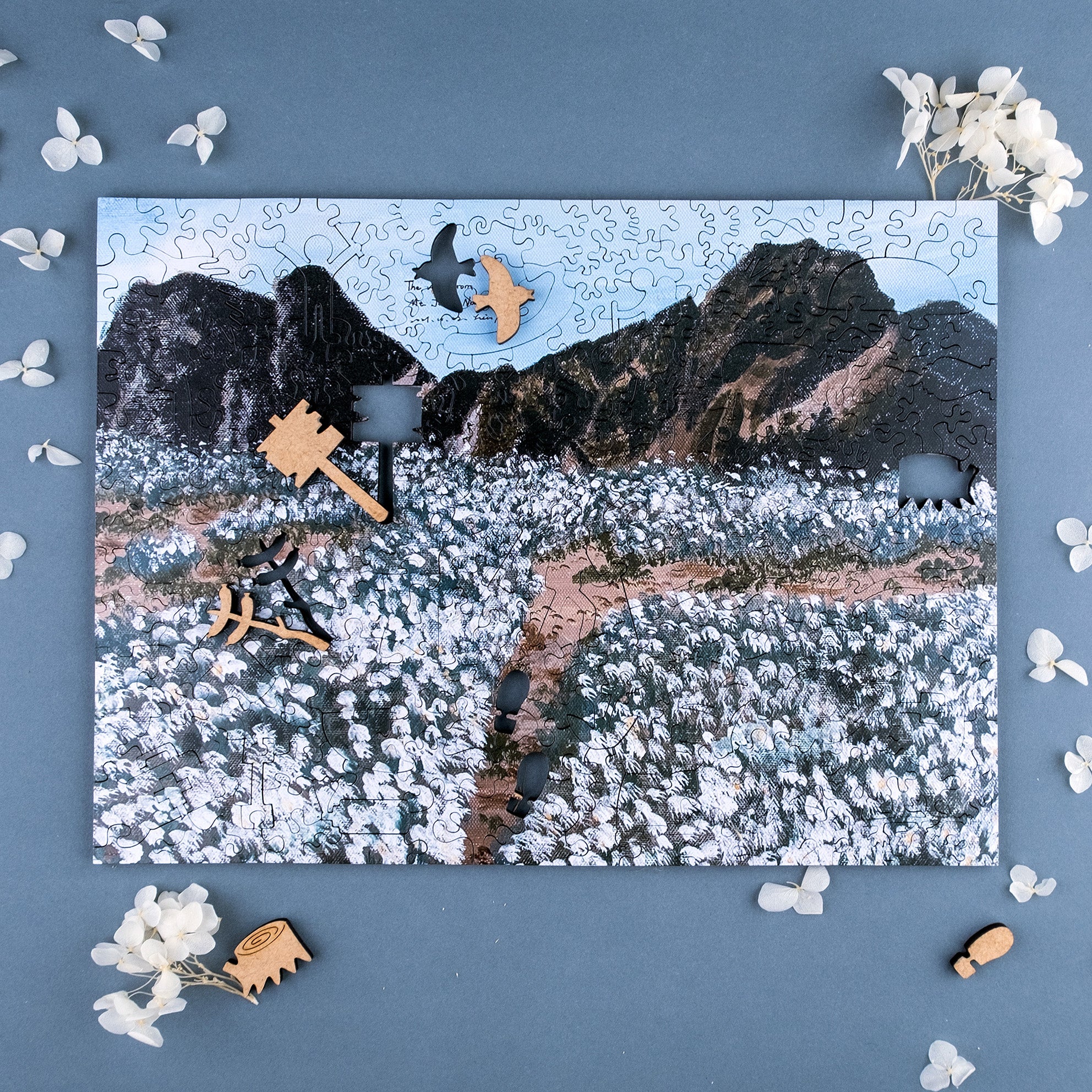 Taiwanese Mountains-Sep. Mt. Jade North Peak