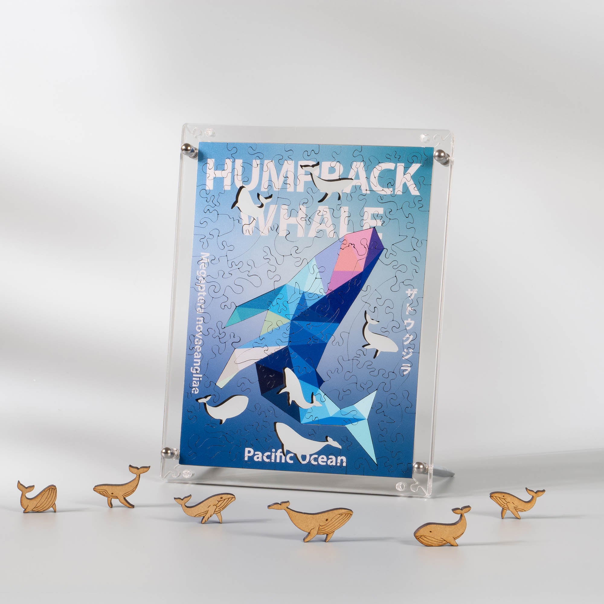 World Ocean Animals-Humpback Whale