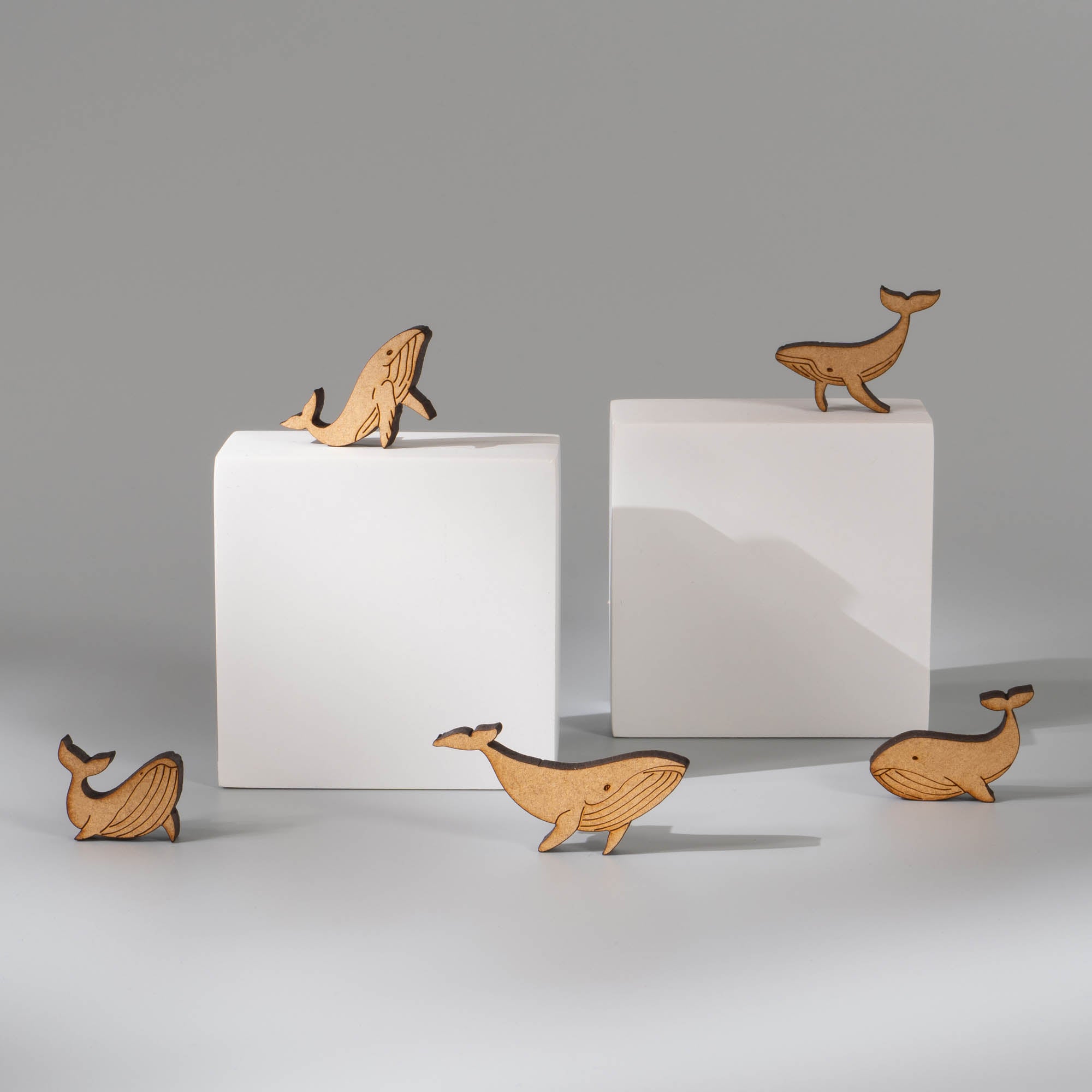 World Ocean Animals-Humpback Whale