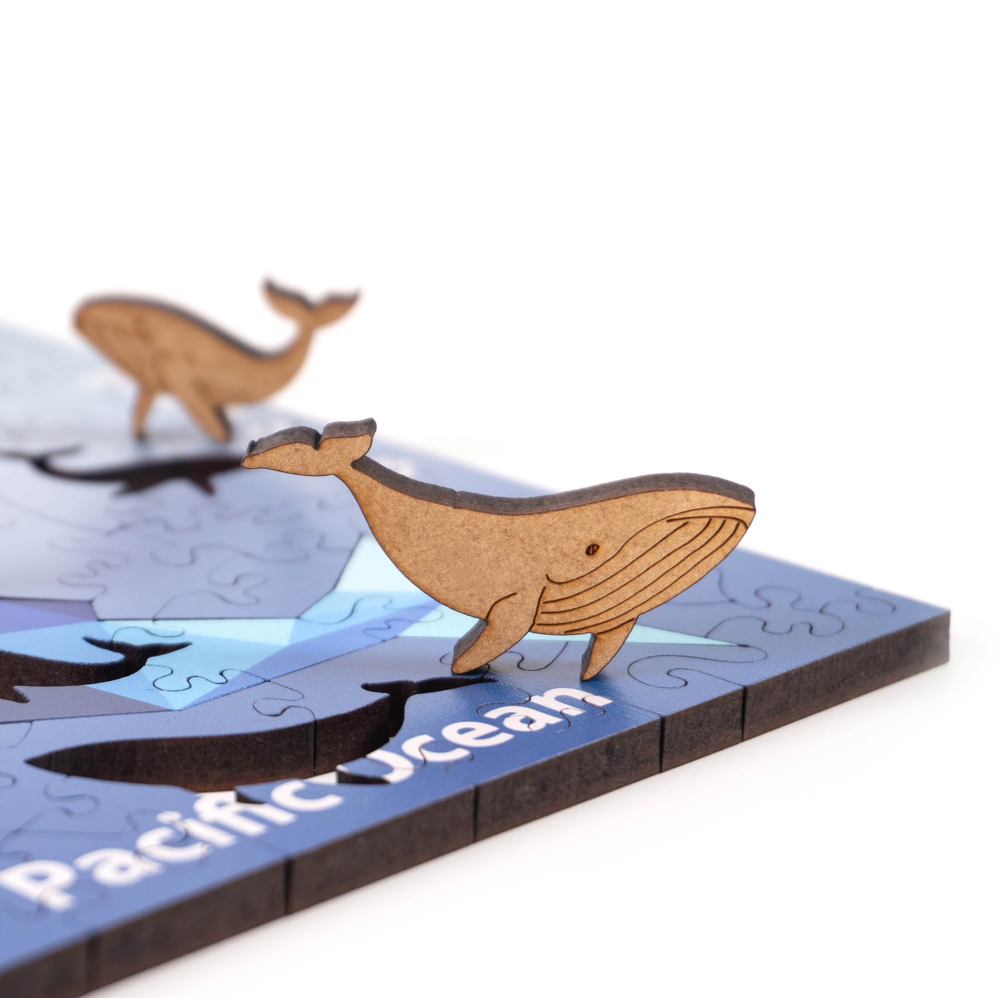 World Ocean Animals-Humpback Whale