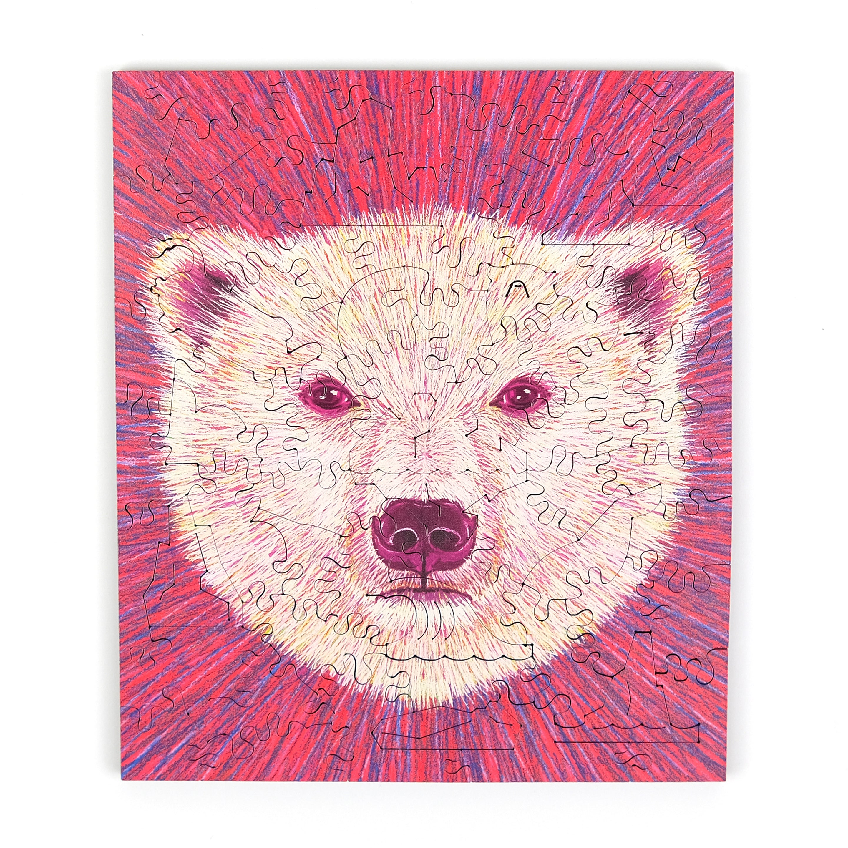 Missing Animals - Polar Bear